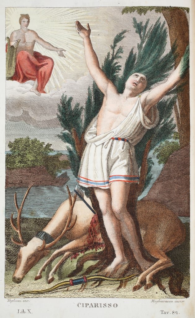 "Cane and Abel Notebook" (Image: Kyparissos into a Tree, by Luigi Ademollo) Student Access