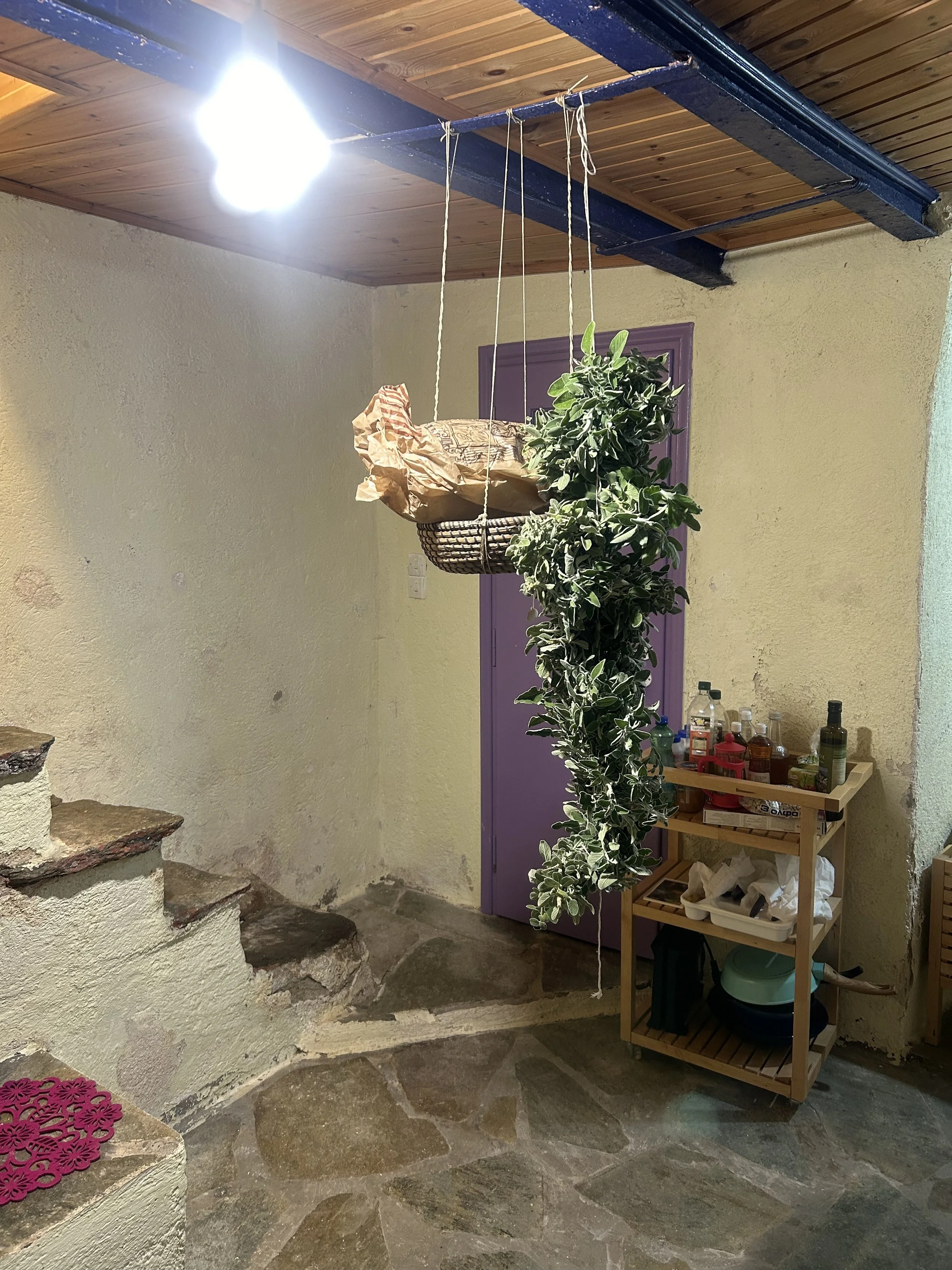 Wild Sage Harvest From Karthea (Kea)