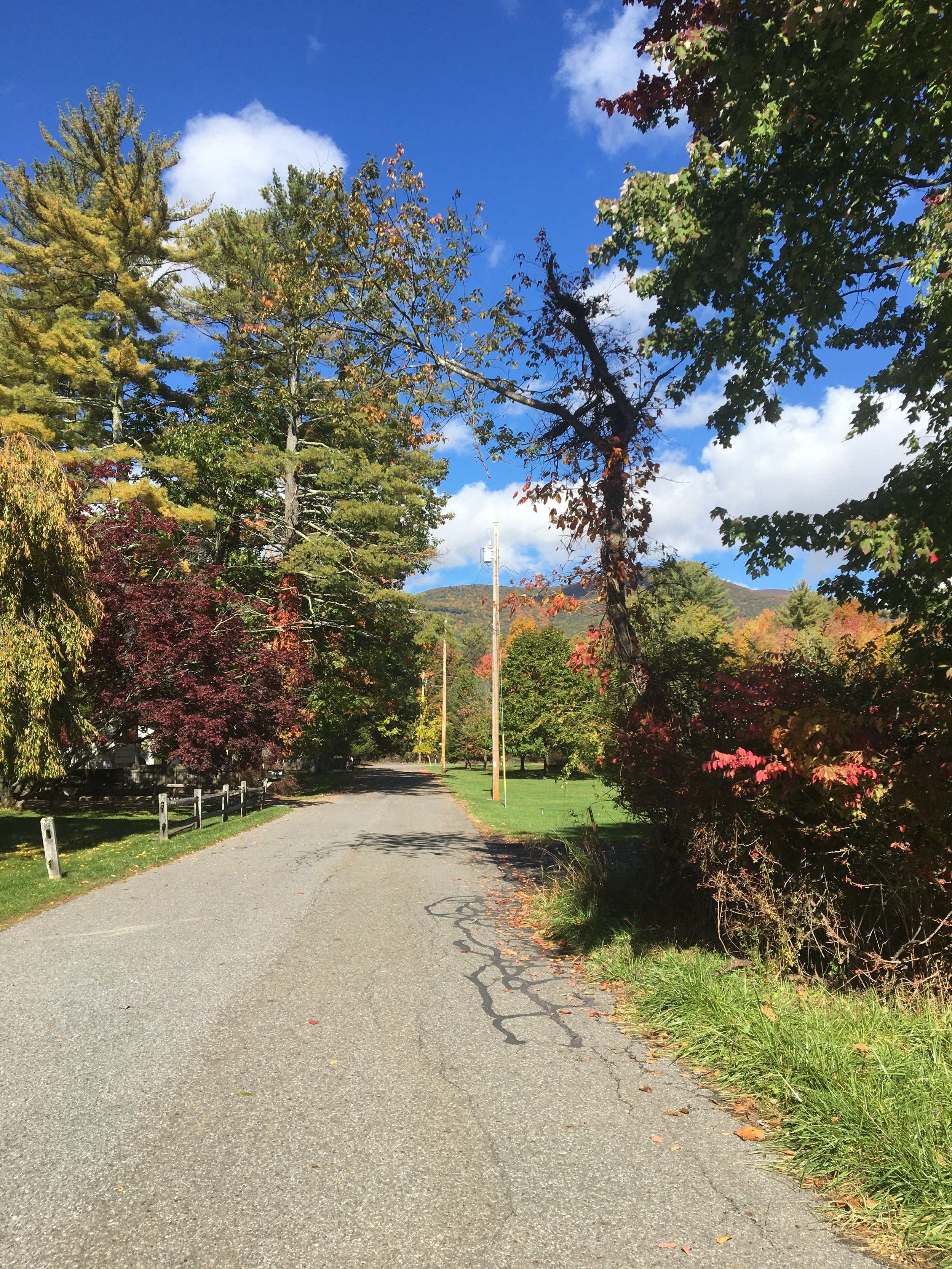 "Flow Notebook" (Image: Library Lane) Student Access
