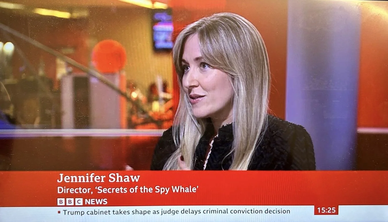 BBC News, 2024