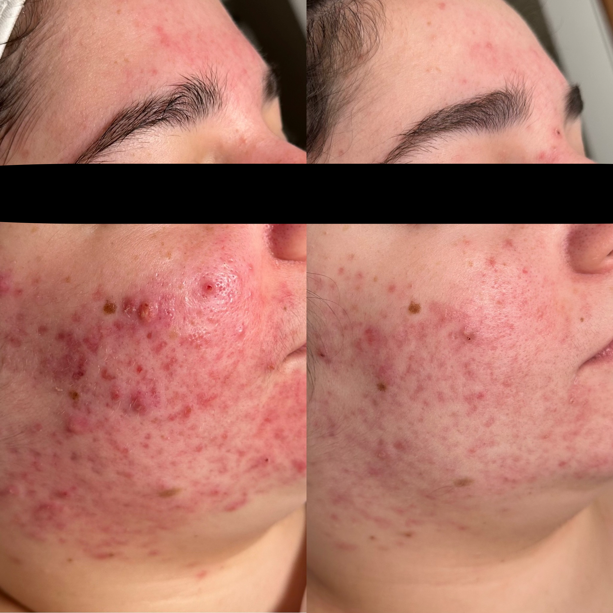 Untitled design 2.PNG