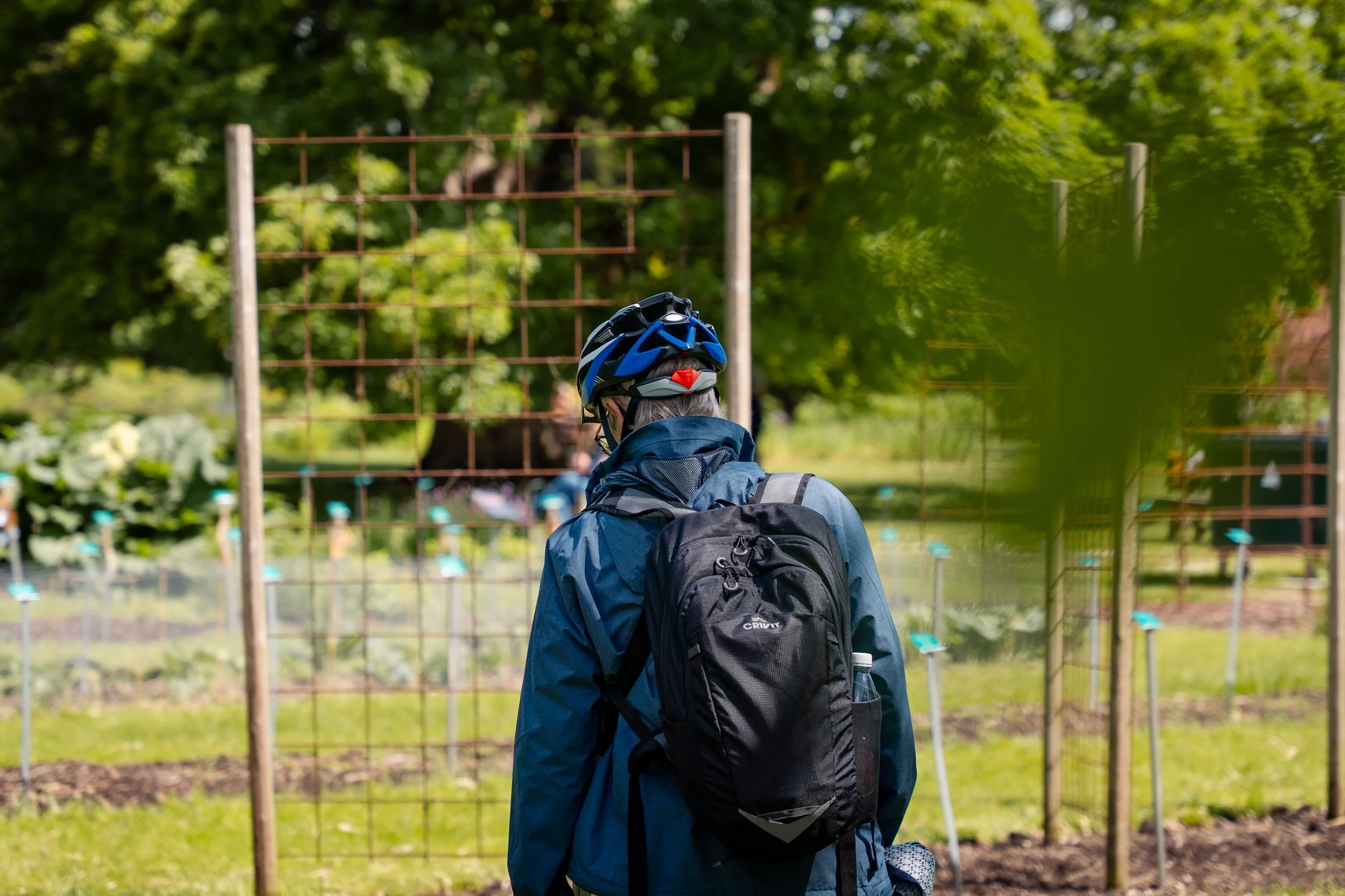 Botaniska och kulturen-113.jpg