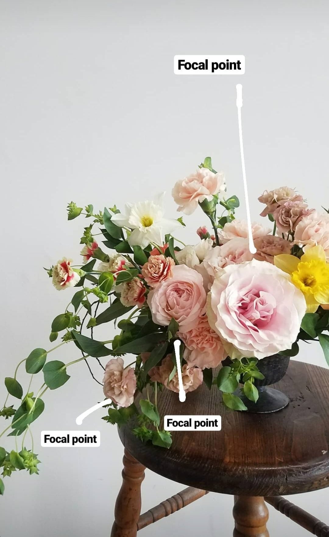Colored Focal Point Examples Focal Points in Design — MICHELLE SAMSON