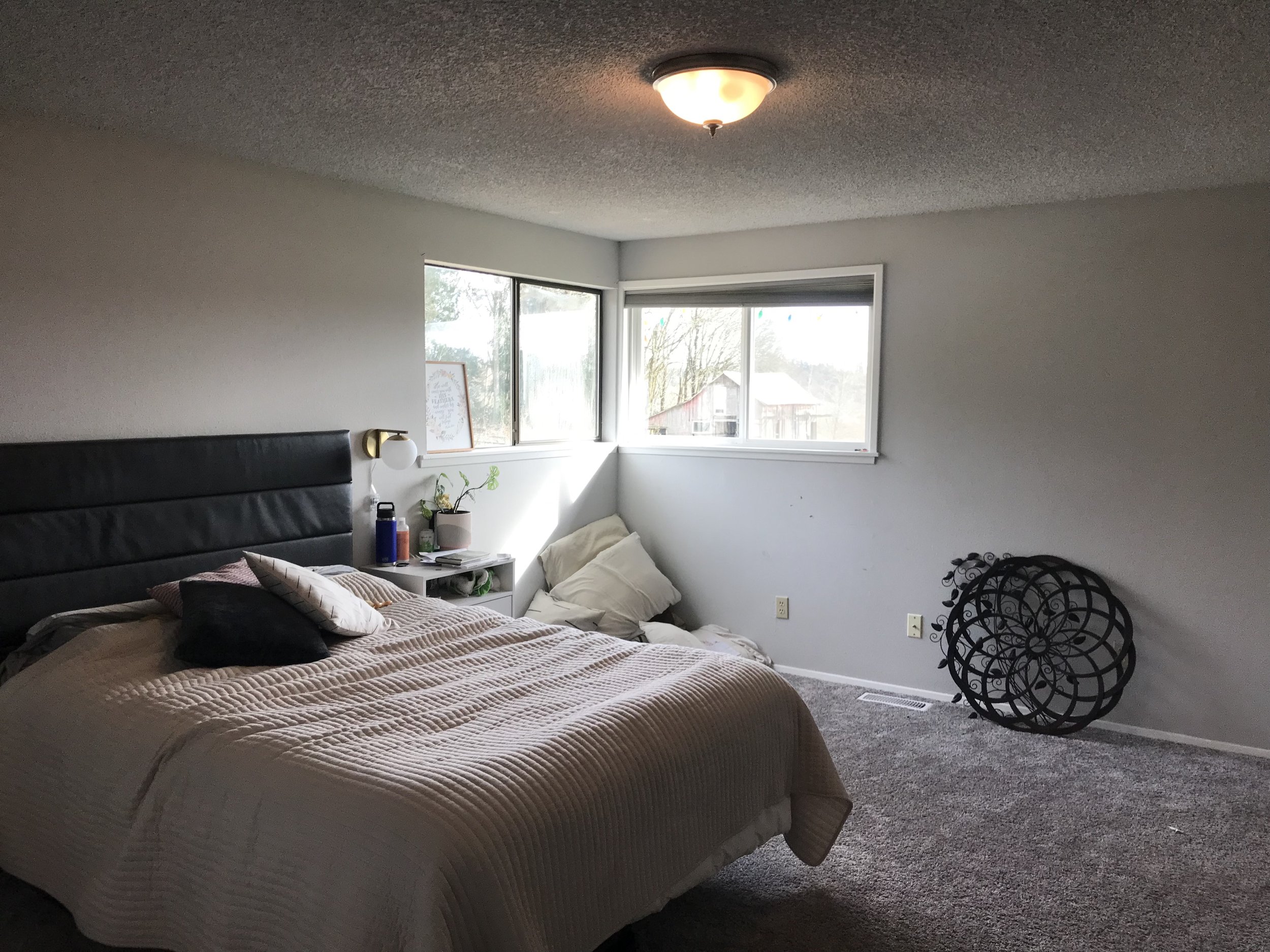 Mealey Primary 2.jpg