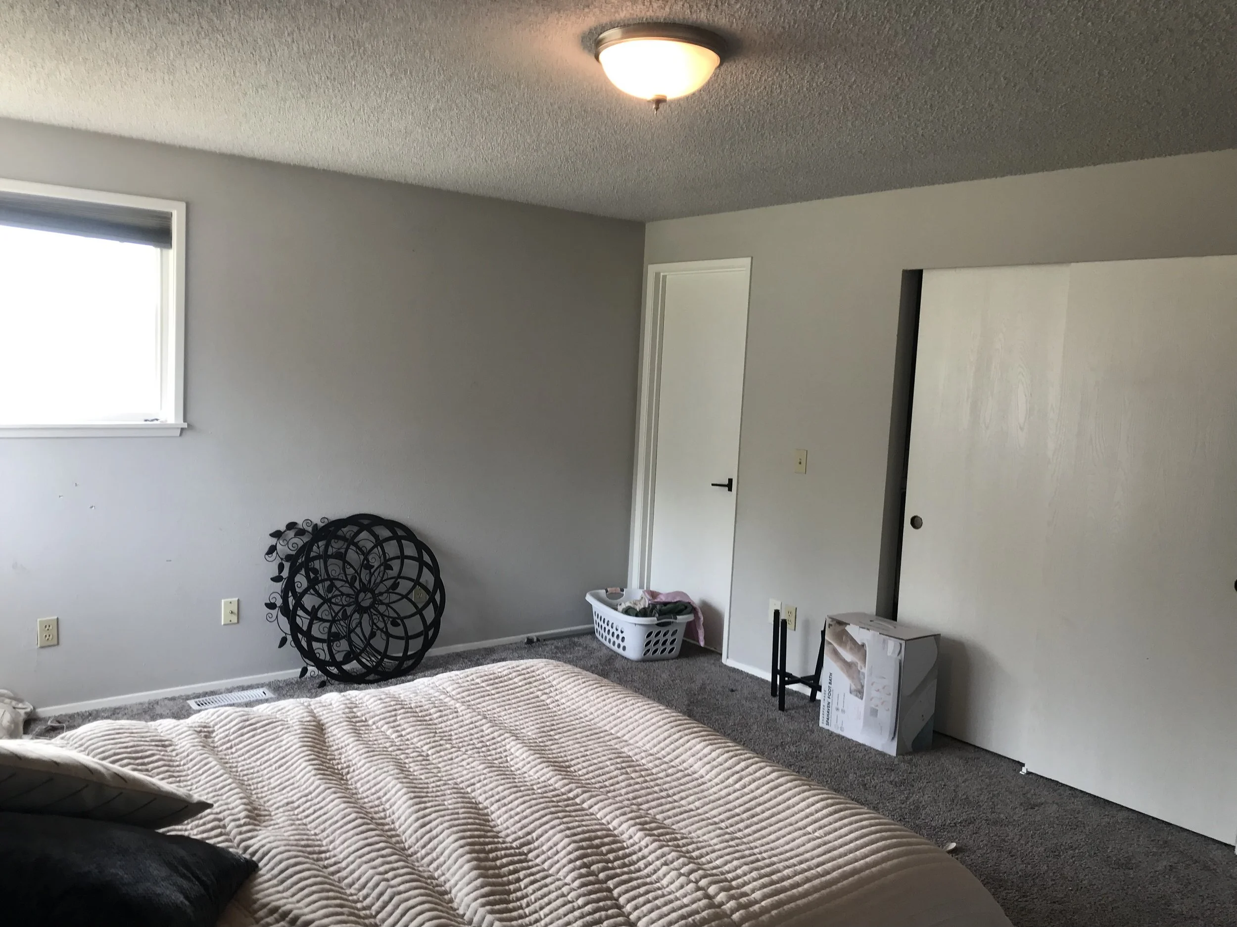 Mealey Primary 3.jpg