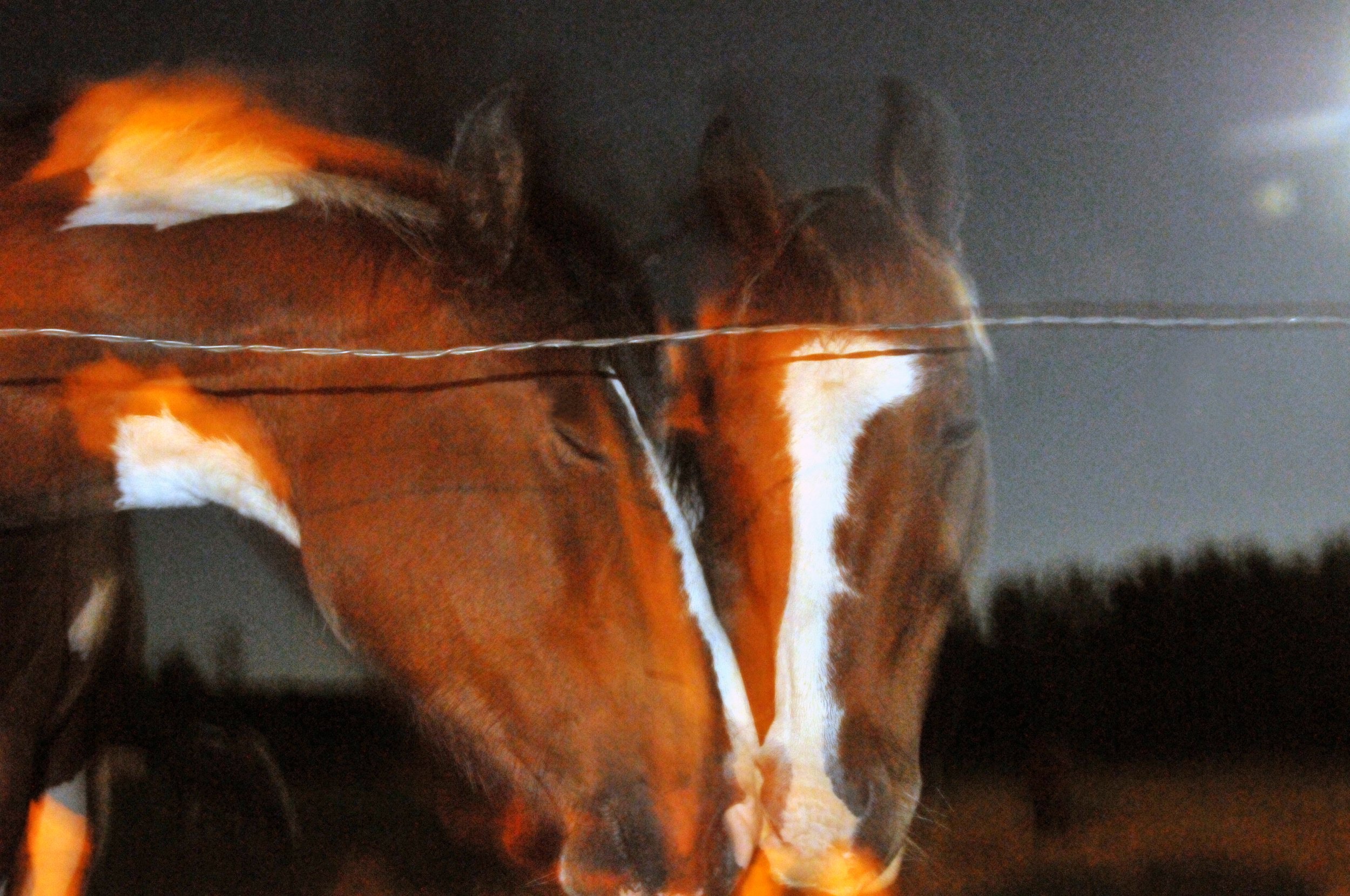 Love, Paintbrush , Cheyaane