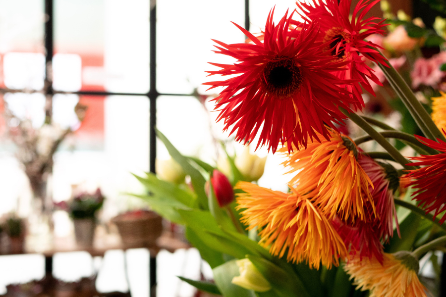 Step Into Something Bright