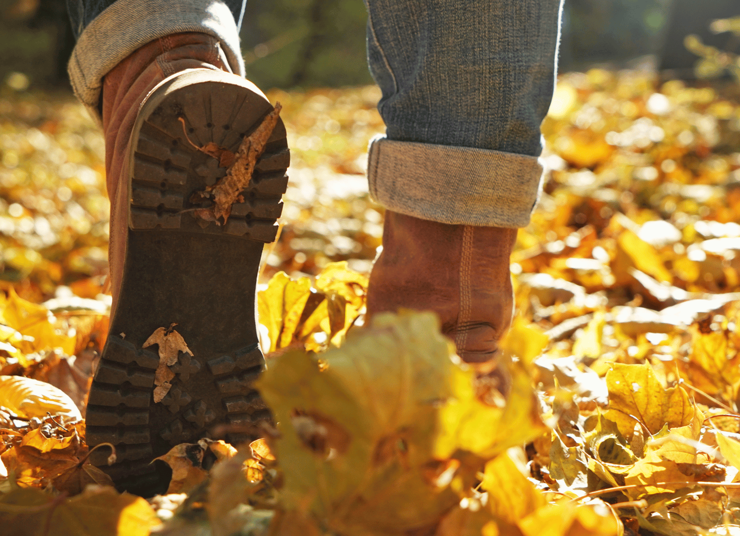 Boots stepping through dry autumn leaves on the ground with sunlight filtering through the fall foliage