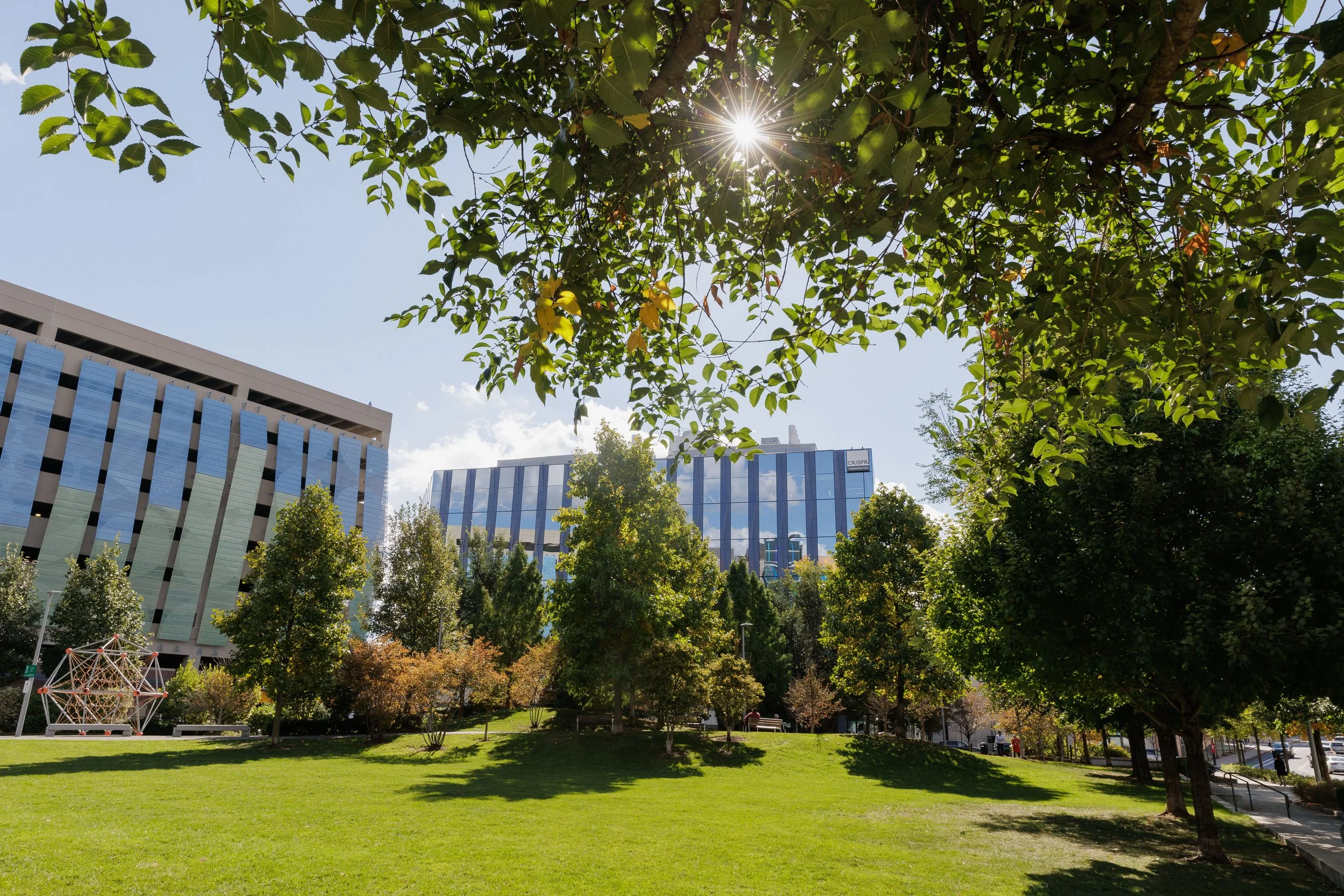 CRISPR Therapeutics Facility Full Res-1.JPG