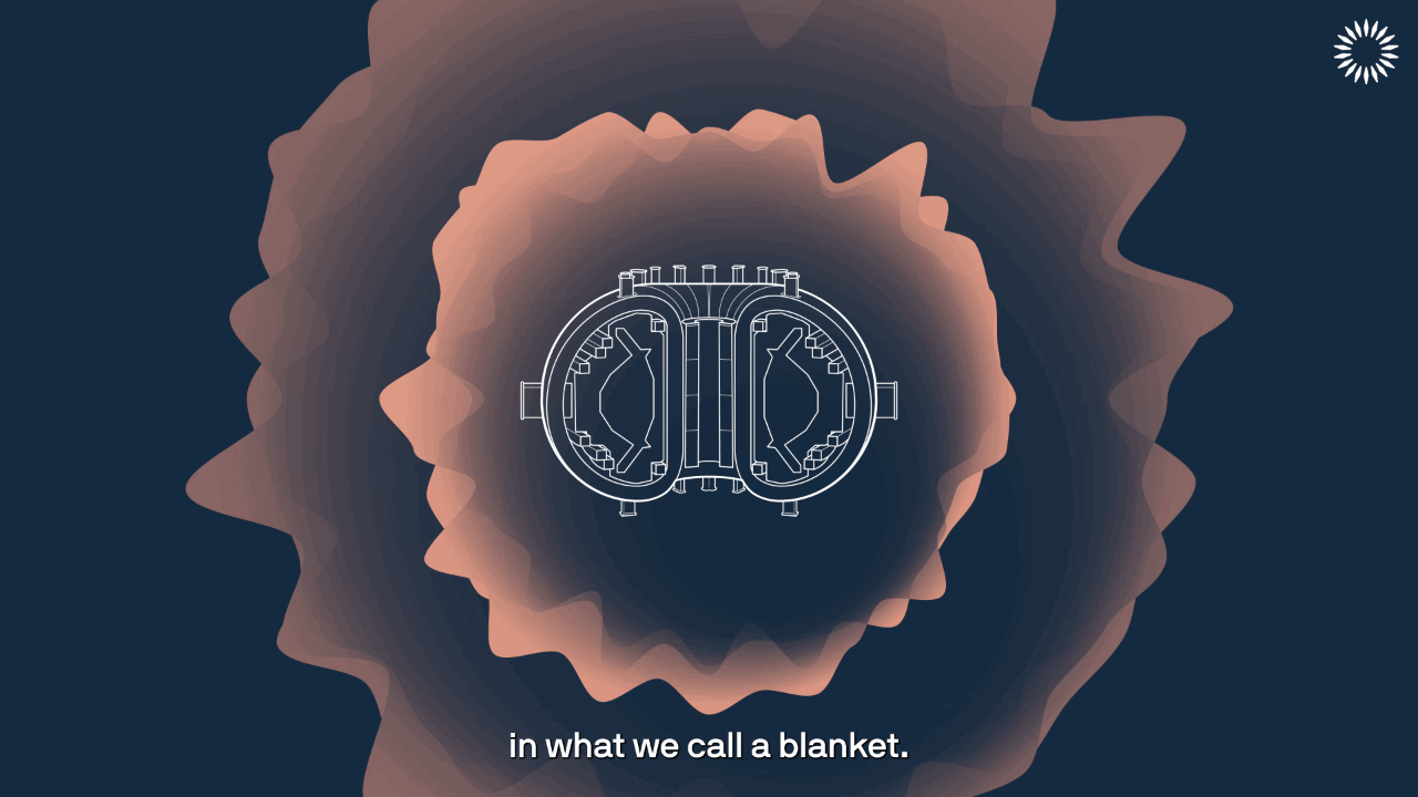 CFS_Fusion101_Animation_01 720.gif