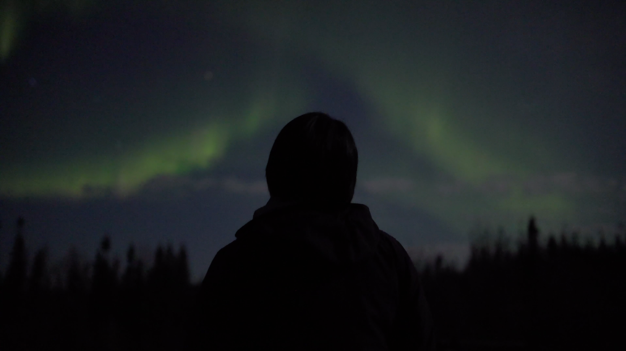 Screenshot 2026-03-14 at 1.38.38 PM.png