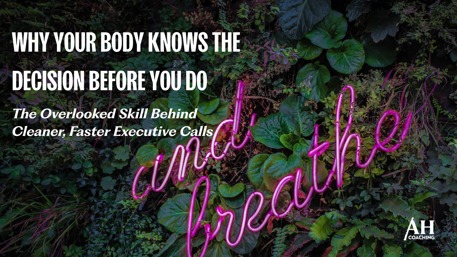 Why Your Body Knows the Decision Before You Do: The Overlooked Skill Behind Cleaner, Faster Executive Calls