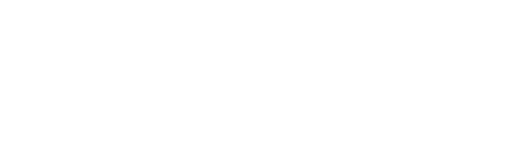 Horizon Partners