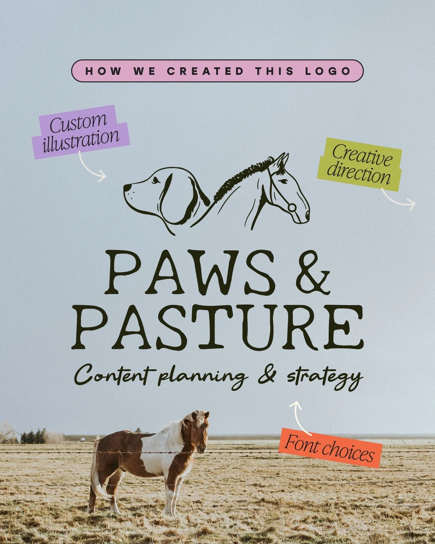 Bringing @pawsnpasture to life 🥹🐾🐴

This project was all about capturing that soft, countryside feel while keeping things polished and considered. When we finished the creative direction we just KNEW this was gonna be a special one 🫶🏼

We&rsquo;