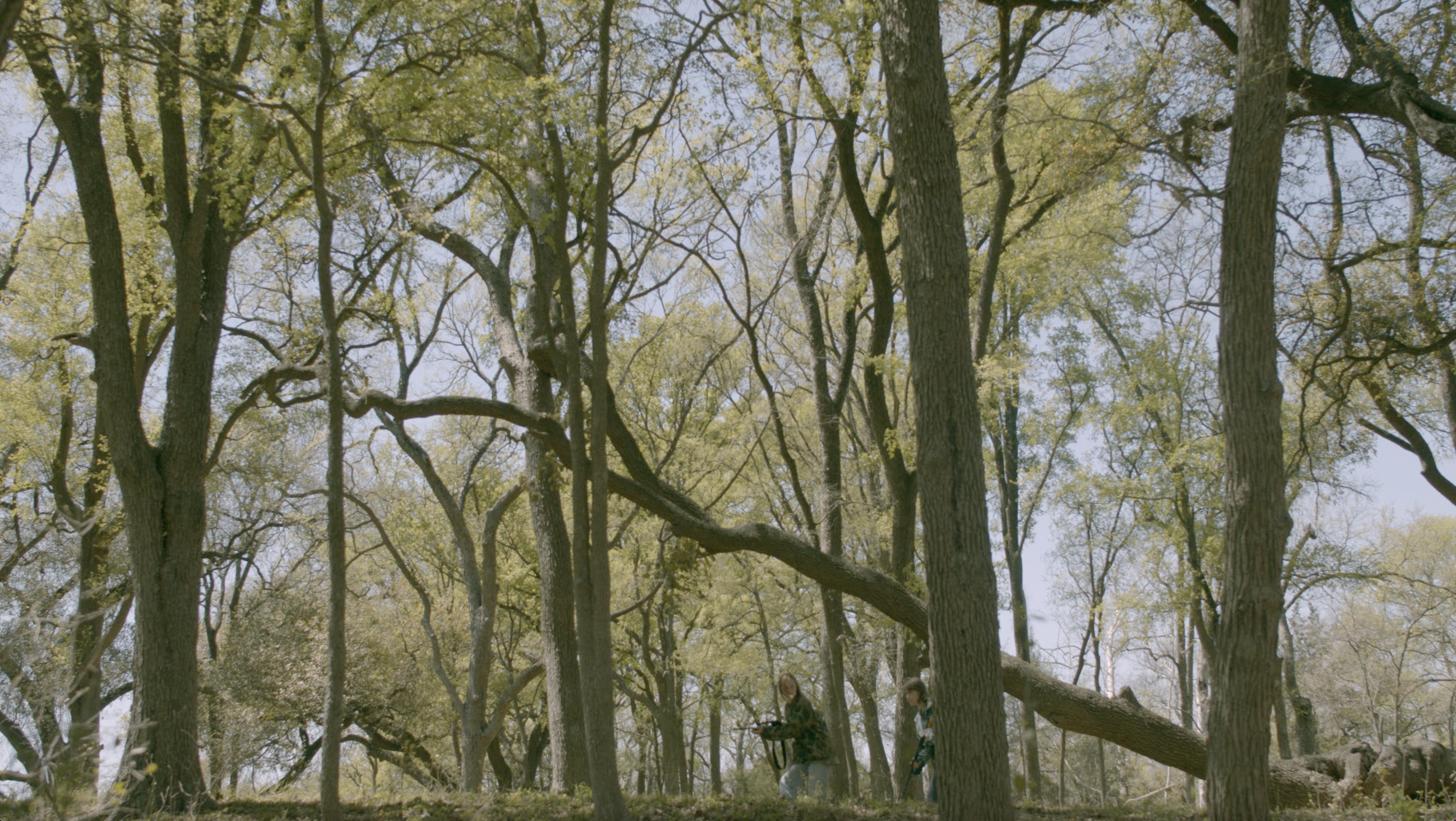 Screen Shot 2023-05-31 at 11.09.49 AM.png