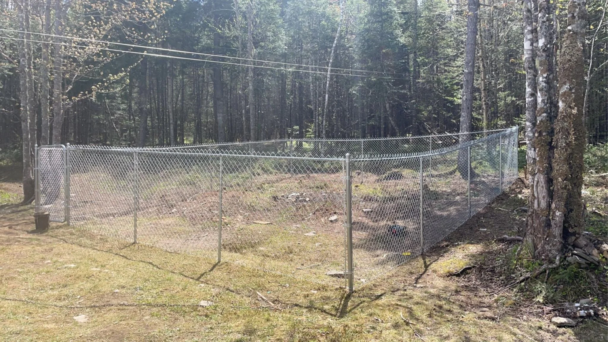 Dog Run Fencing — Fraser Repair & Installation