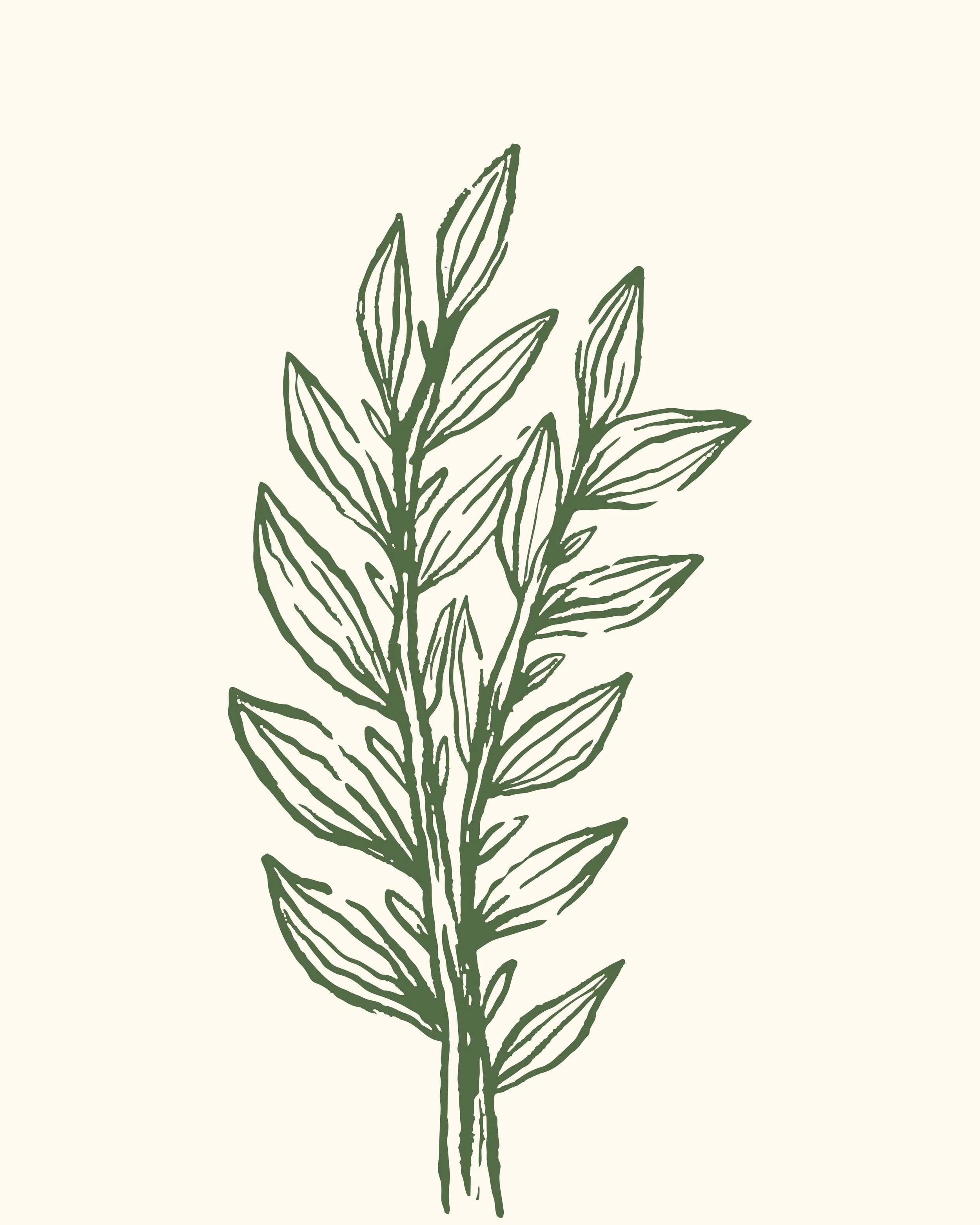 Drawing of green leaves with a minimalistic line style on a light background.