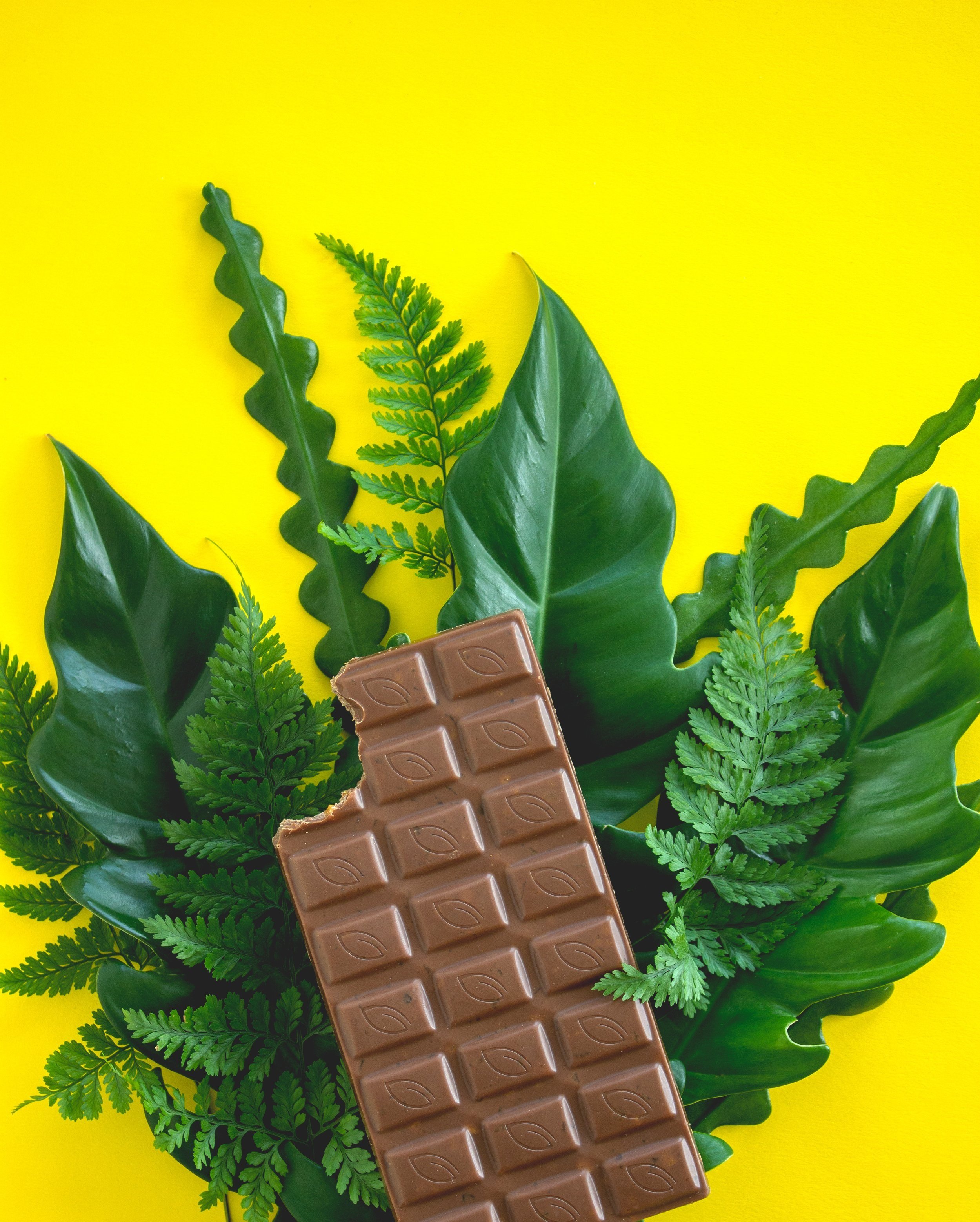 Vegan chocolate is gaining popularity