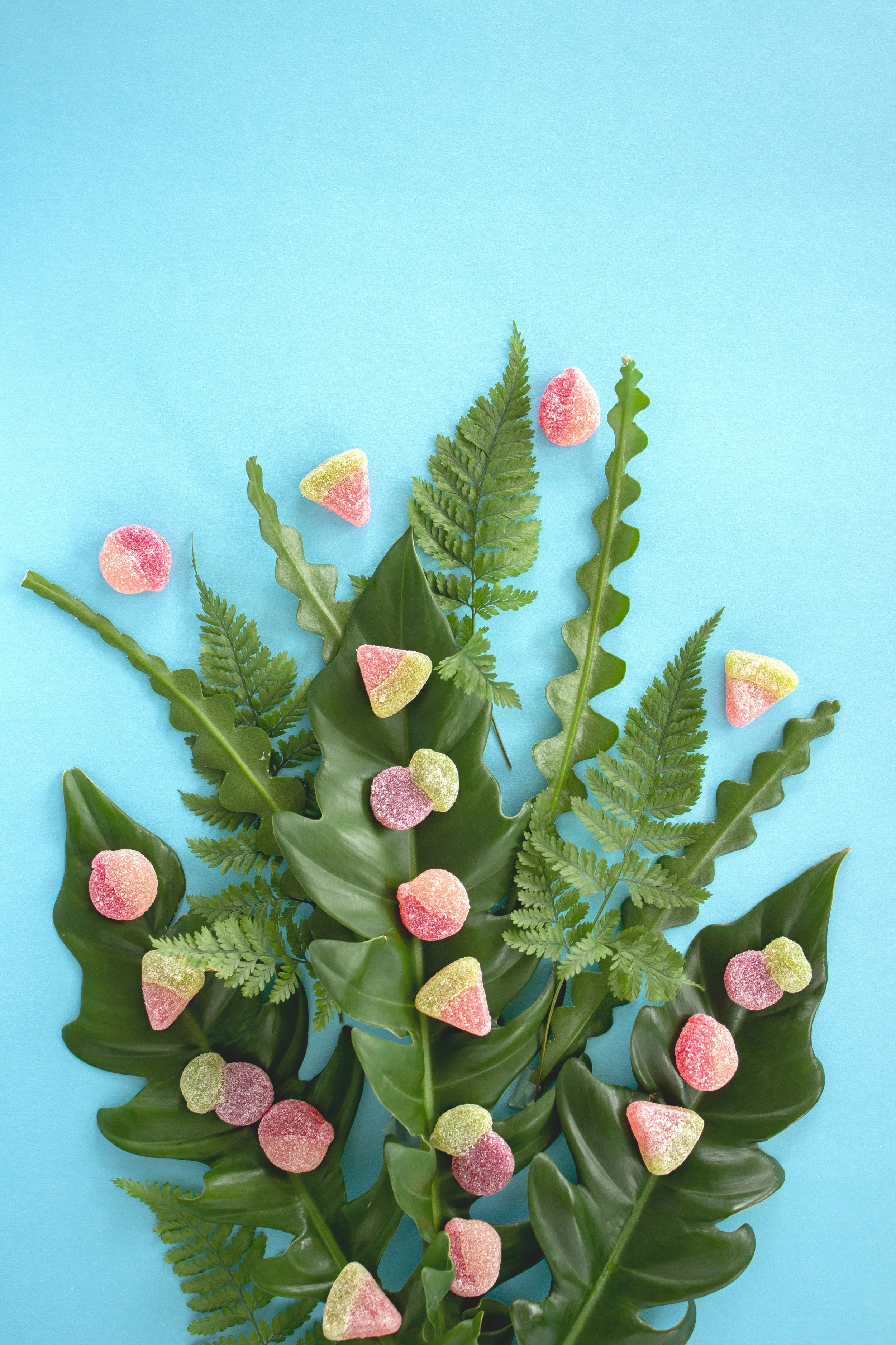 Real Fruit Vegan Gummies playfully arranged on a bouquet of foliage