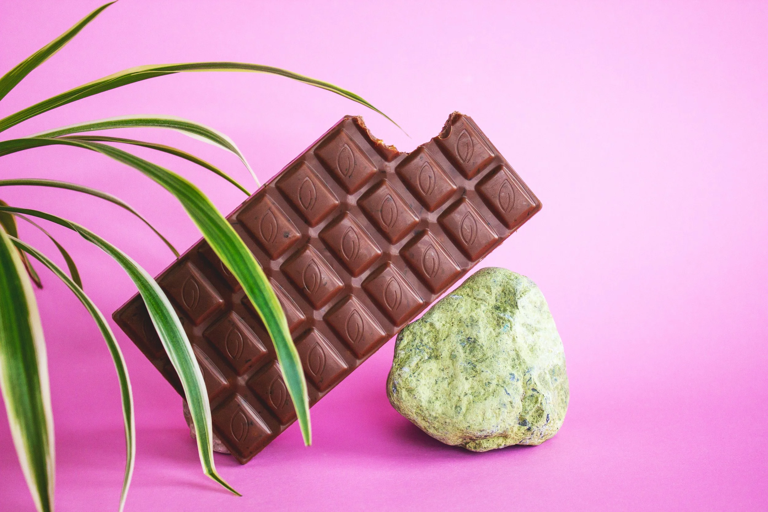 Plant-based chocolate is on the rise