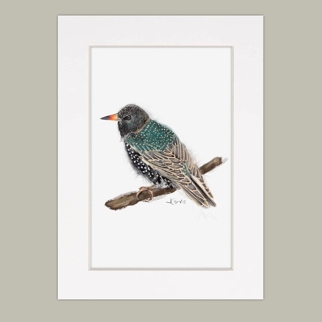 starling mat print.jpg