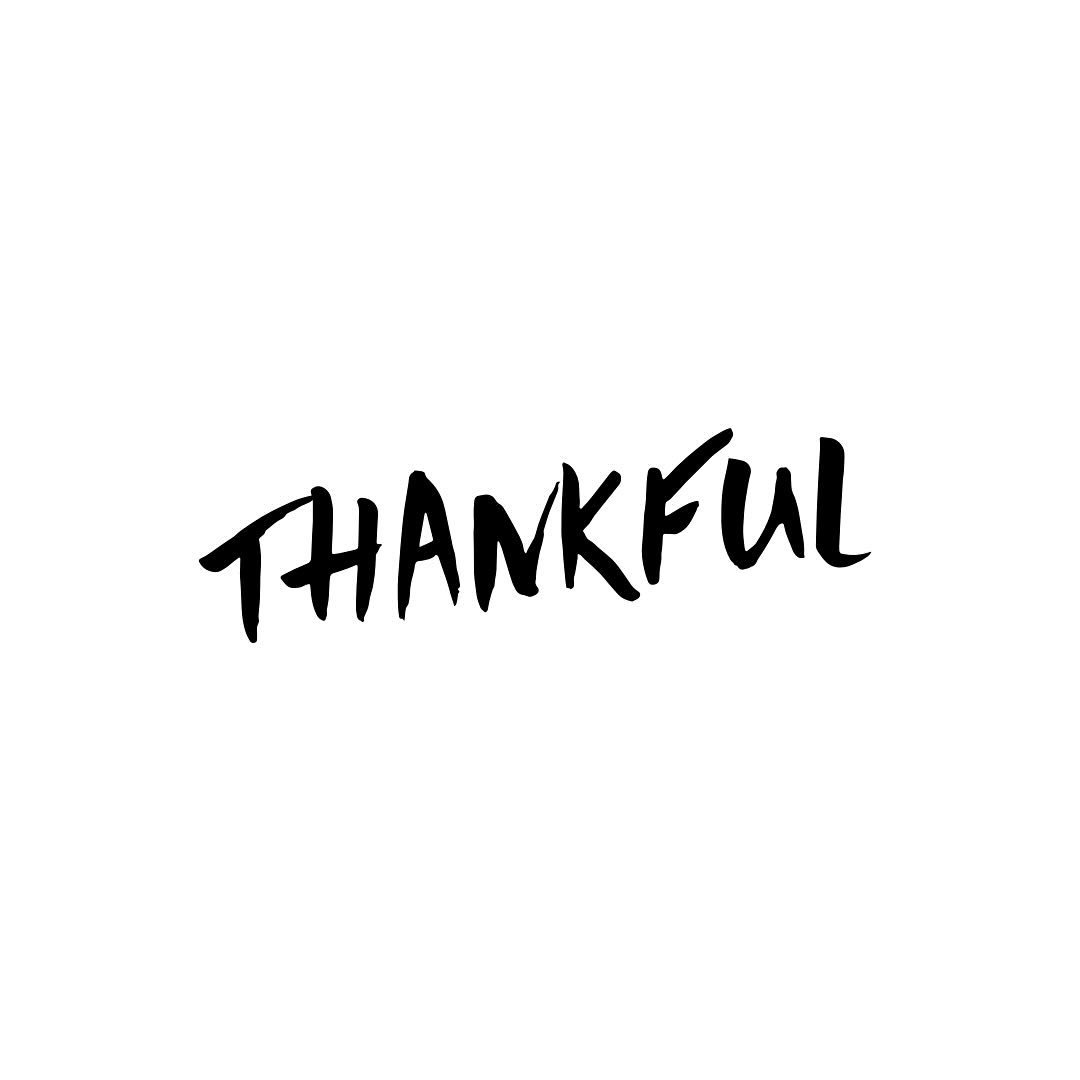 what are you thankful for?

✨happy thanksgiving!