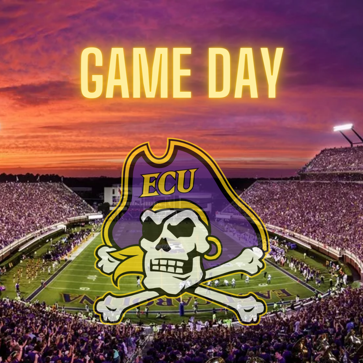 game day field.png