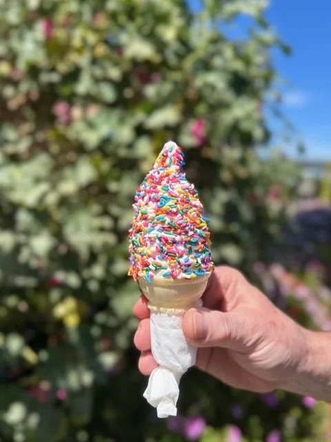 Ice Cream Social 