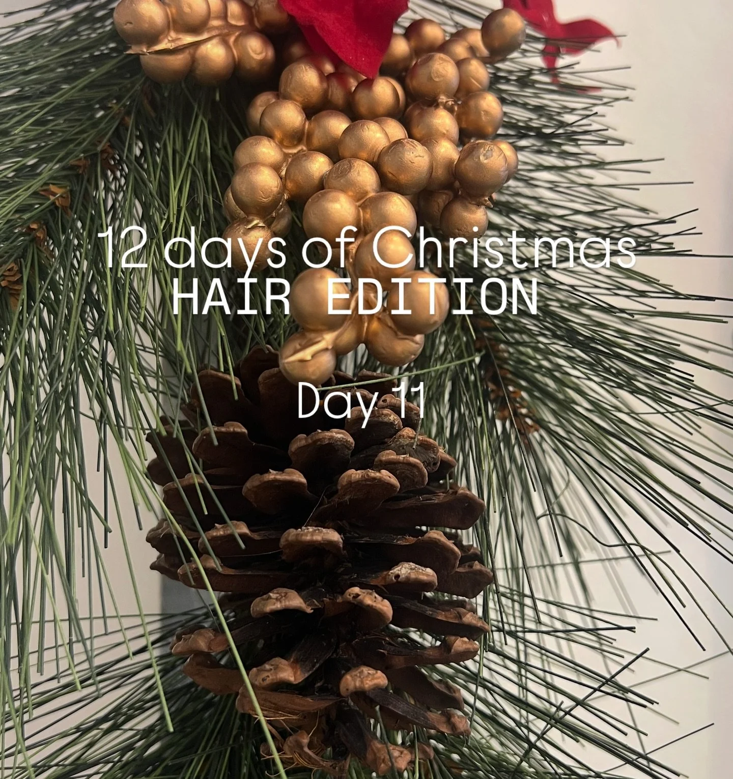 12 days of Christmas: Hair Edition 11/12 
@elixirhairstudio 

#stalberthair #elixirhairstudio