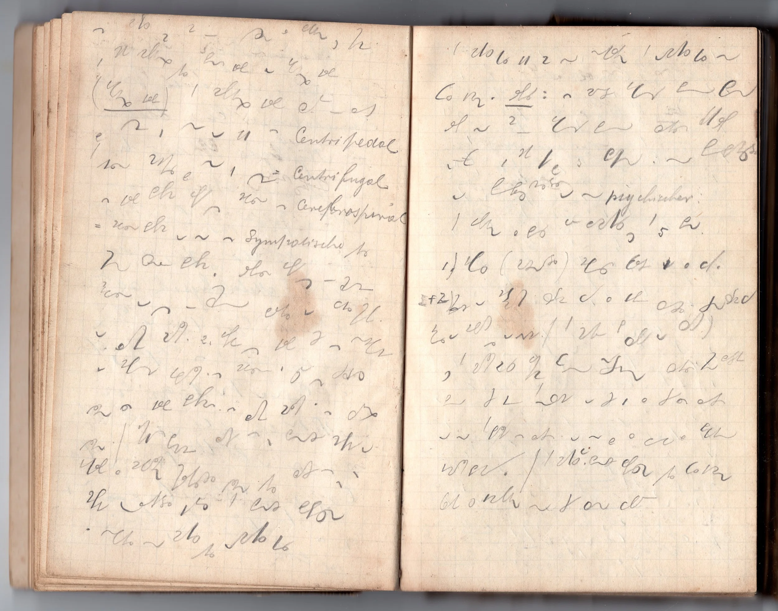 1897-01-01_00-00-21.jpg