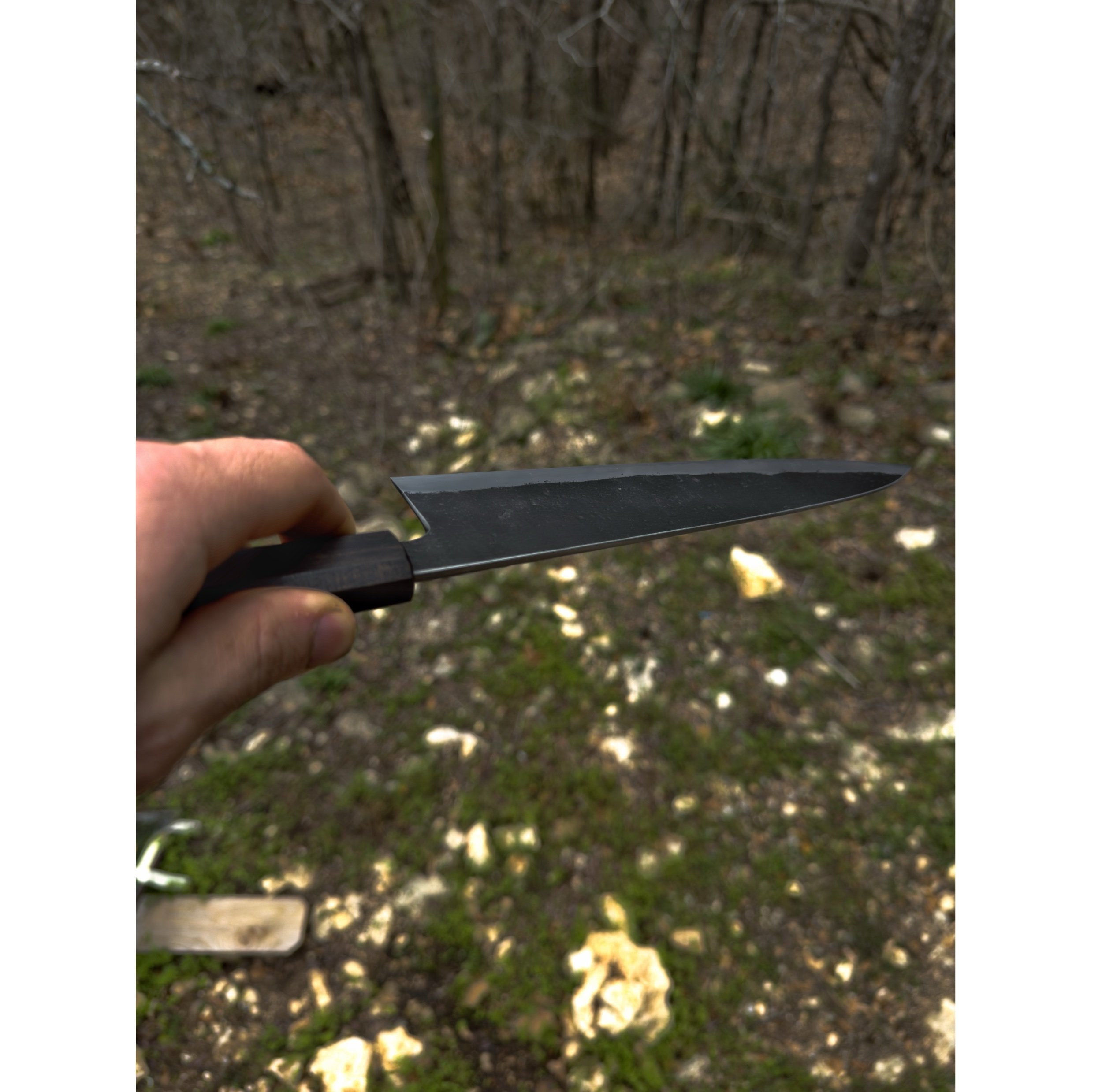 31EDC951-E1F2-408E-BE46-897C253720FF.jpeg