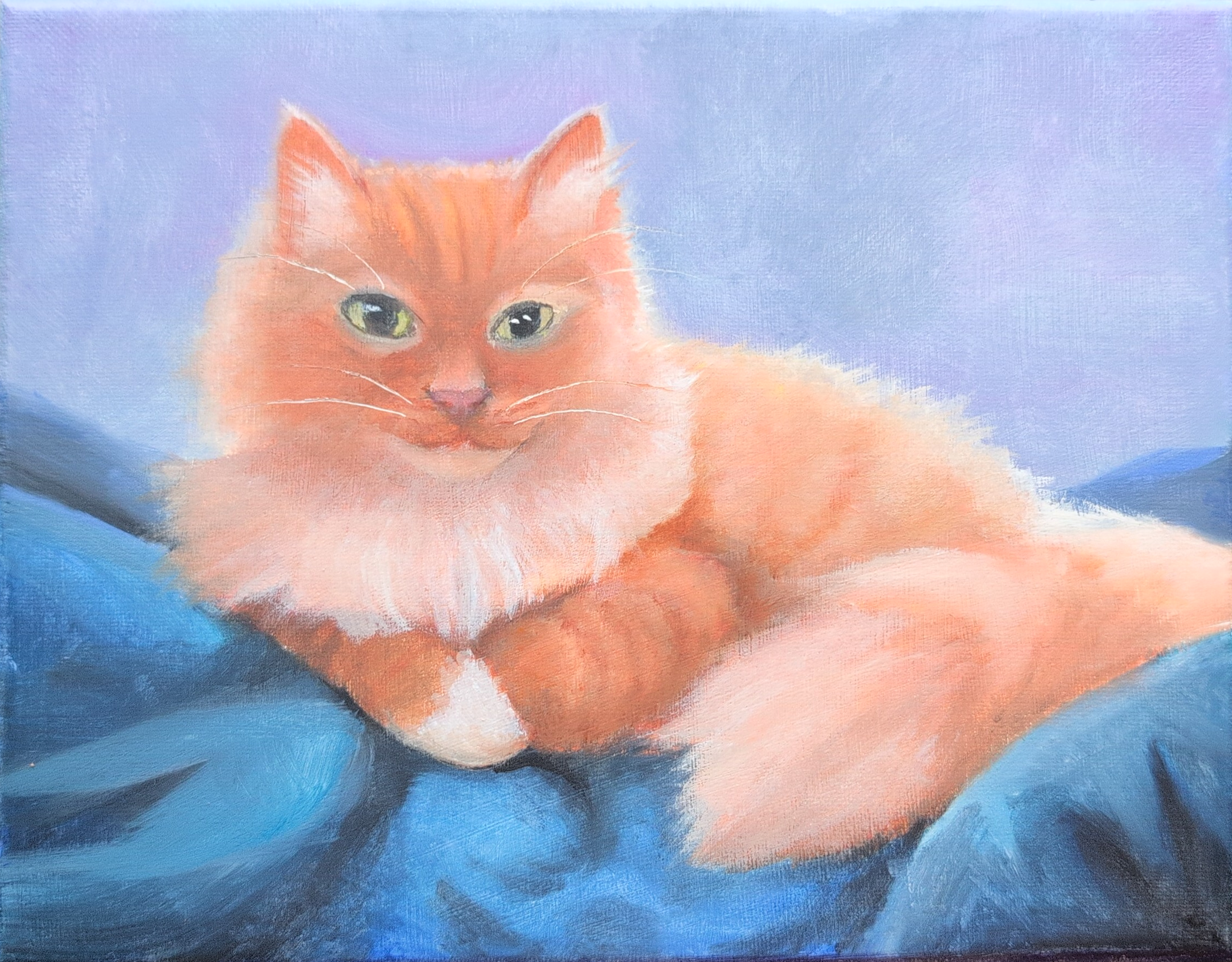 "Princeton" - Oil on Canvas - My baby boy. (NFS, prints available)