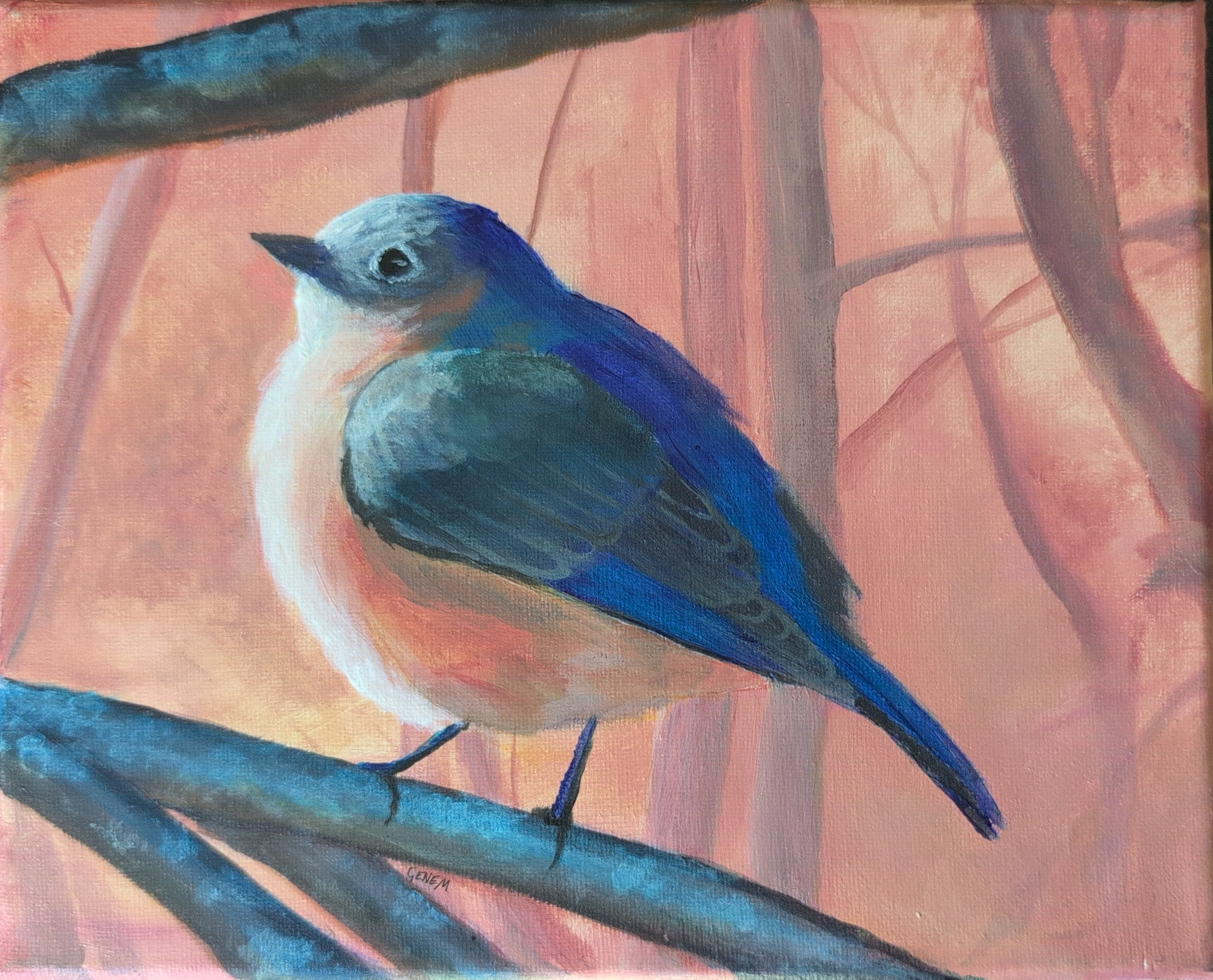 "Bluebird" - Acrylic on Canvas, 8x10 - I fell in love with this beautiful boy's coloring and had to paint him. ($200 + shipping, prints available)
