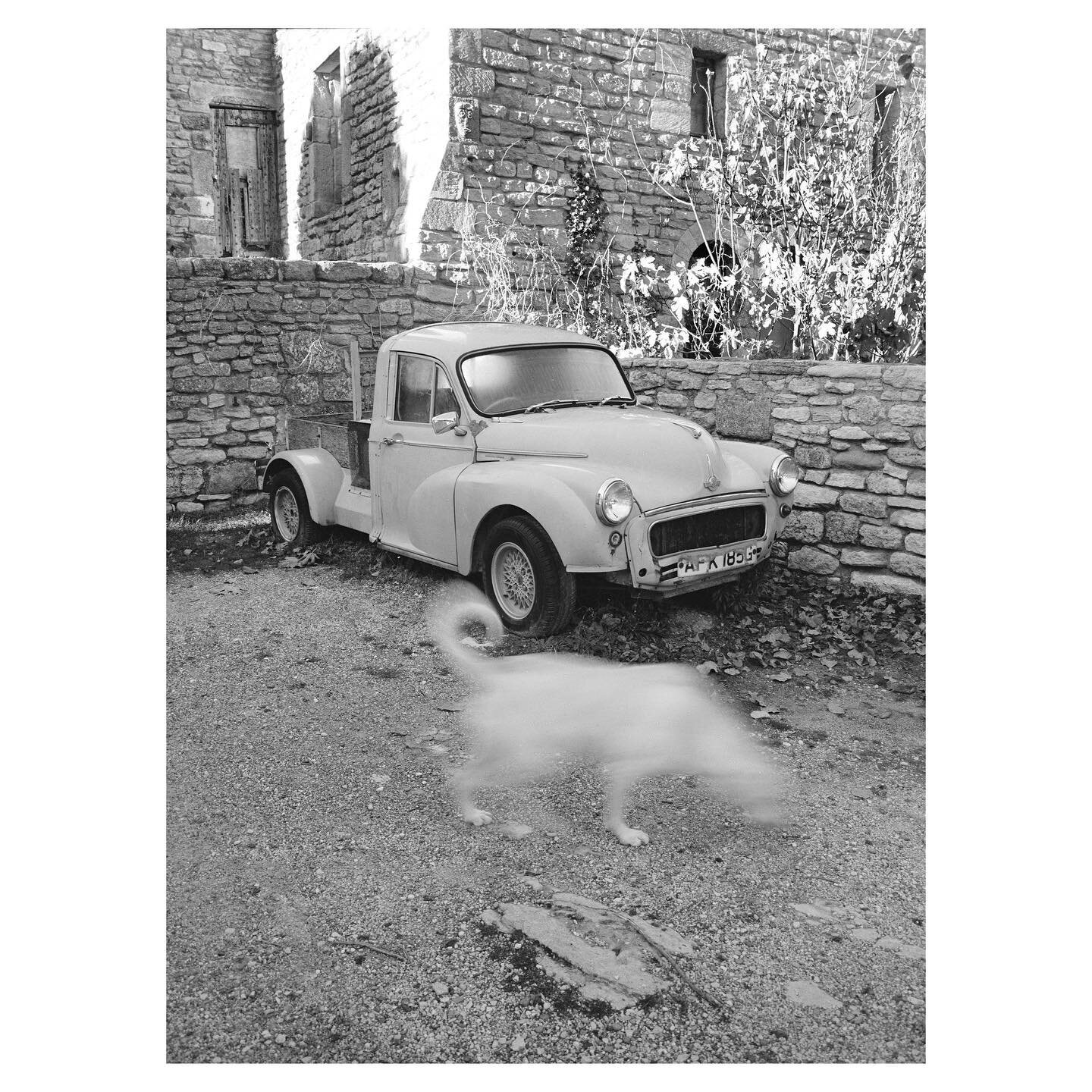 A mix of 120mm and 35mm B&amp;W film I just recently developed and scanned during my time photographing around Provence back in December.