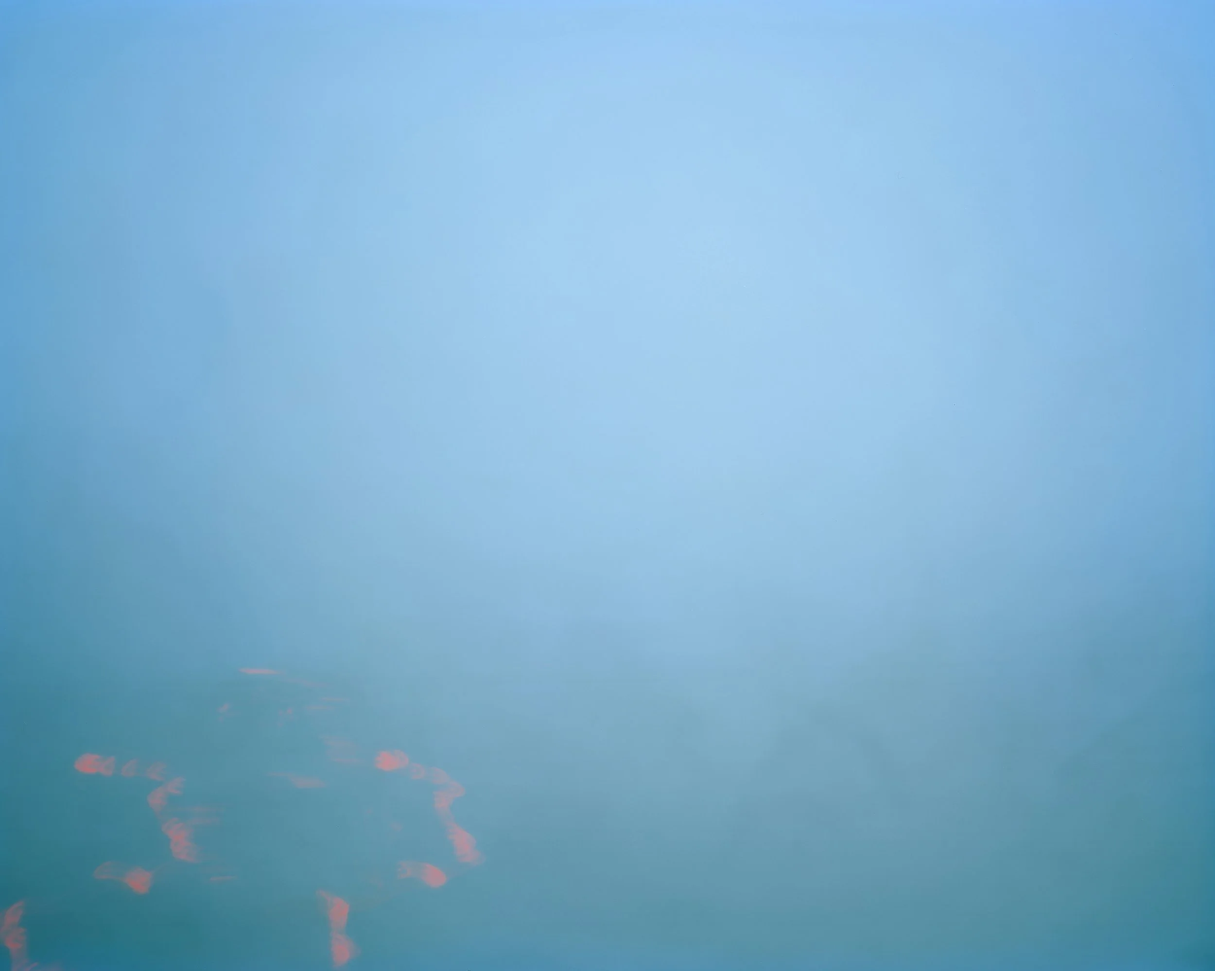 * SAV_202320_PHOTO_LiamGildea_90ina70_5.JPG