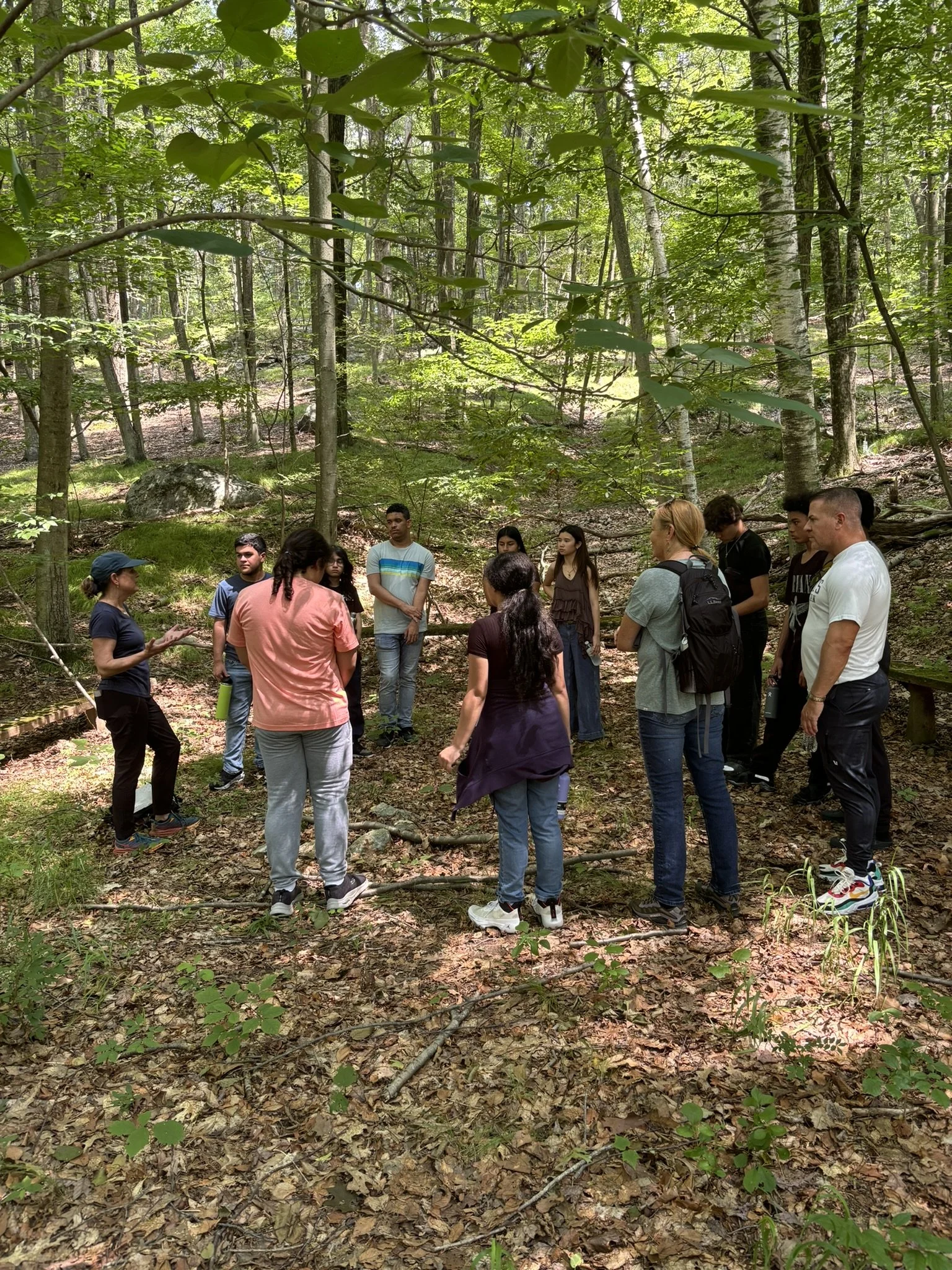 Forest Meditation Walk.jpeg