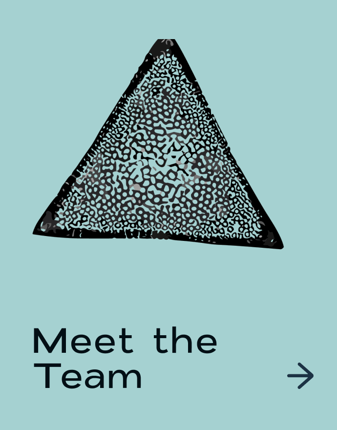 Meet The Team