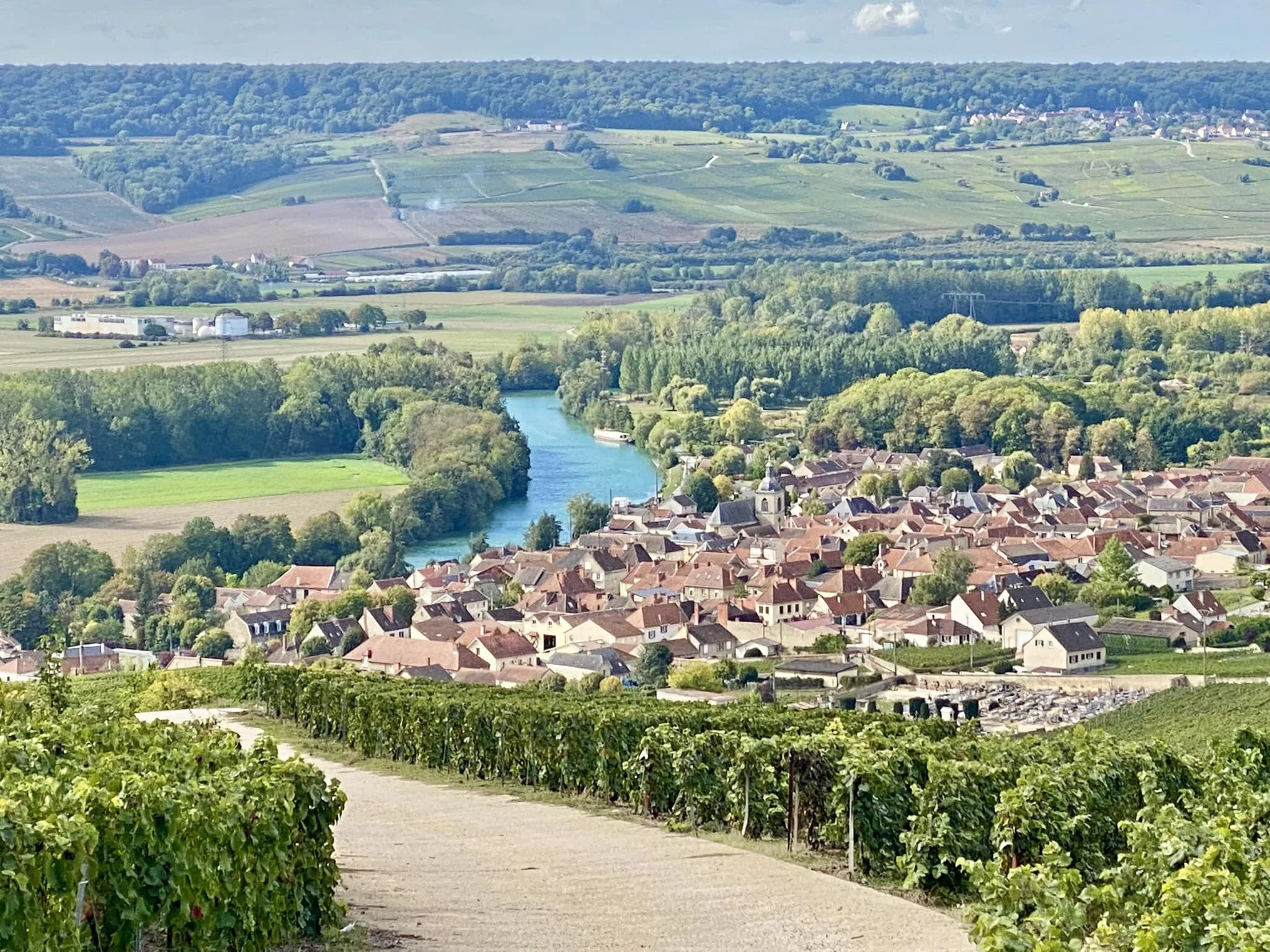 A peek of sunshine from the gardens of Dom Perignon