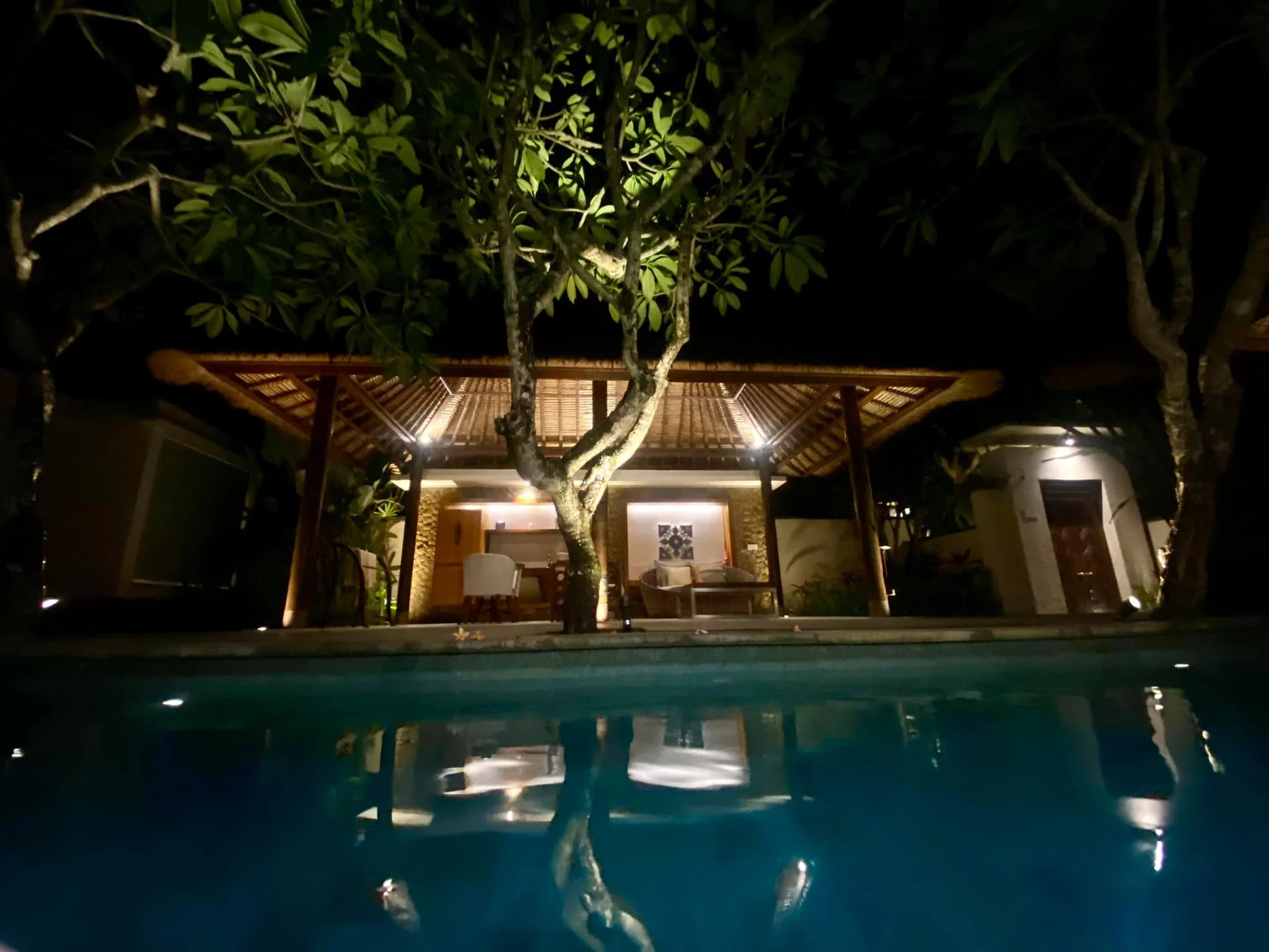 Beautiful villa here in Bali. 2/3 of the room is outdoors with its own pool. This afternoon we have had an unannounced guest come through our living room twice