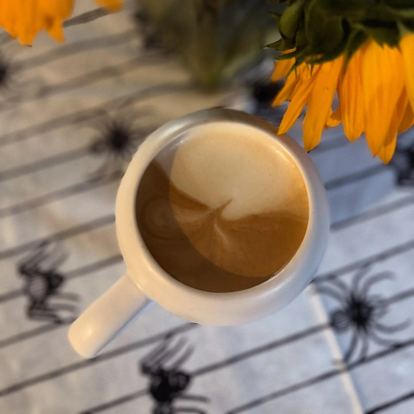Happy Sunday! ☕️