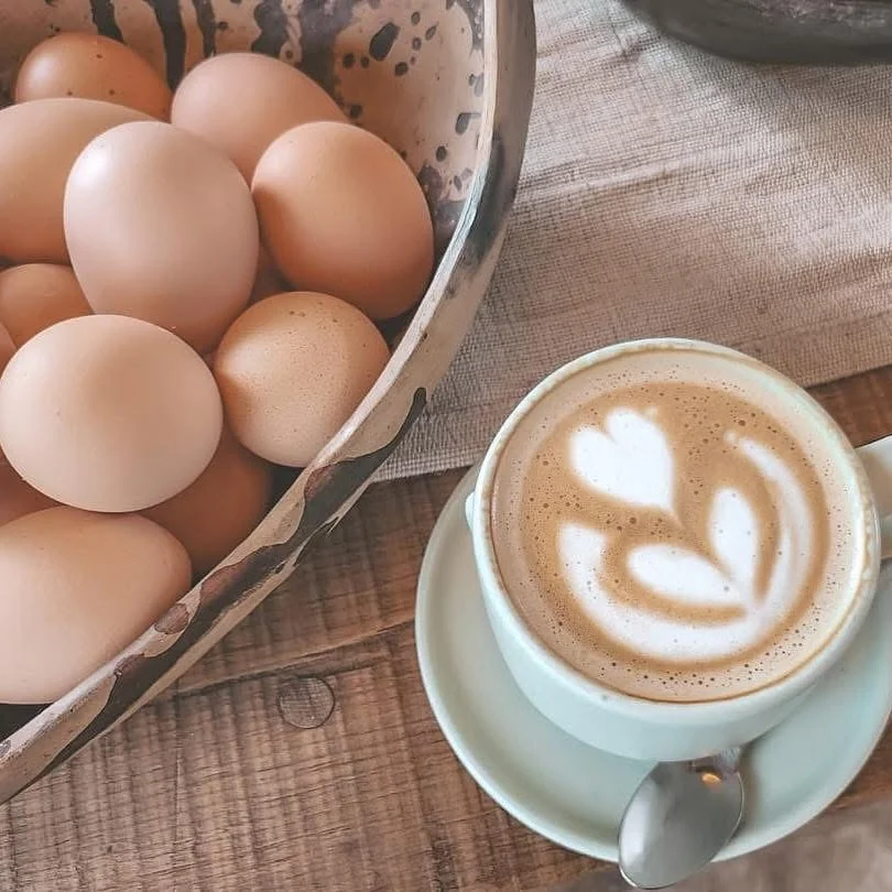 Rise and shine! 🤎
www.chubute.com
#smallbusiness #shoplocal #supportsmallbusiness #smallbiz #shoplocally #shopsmall #specialtycoffee #sustainablecoffee #singleorigincoffee #baristalife #barista&nbs