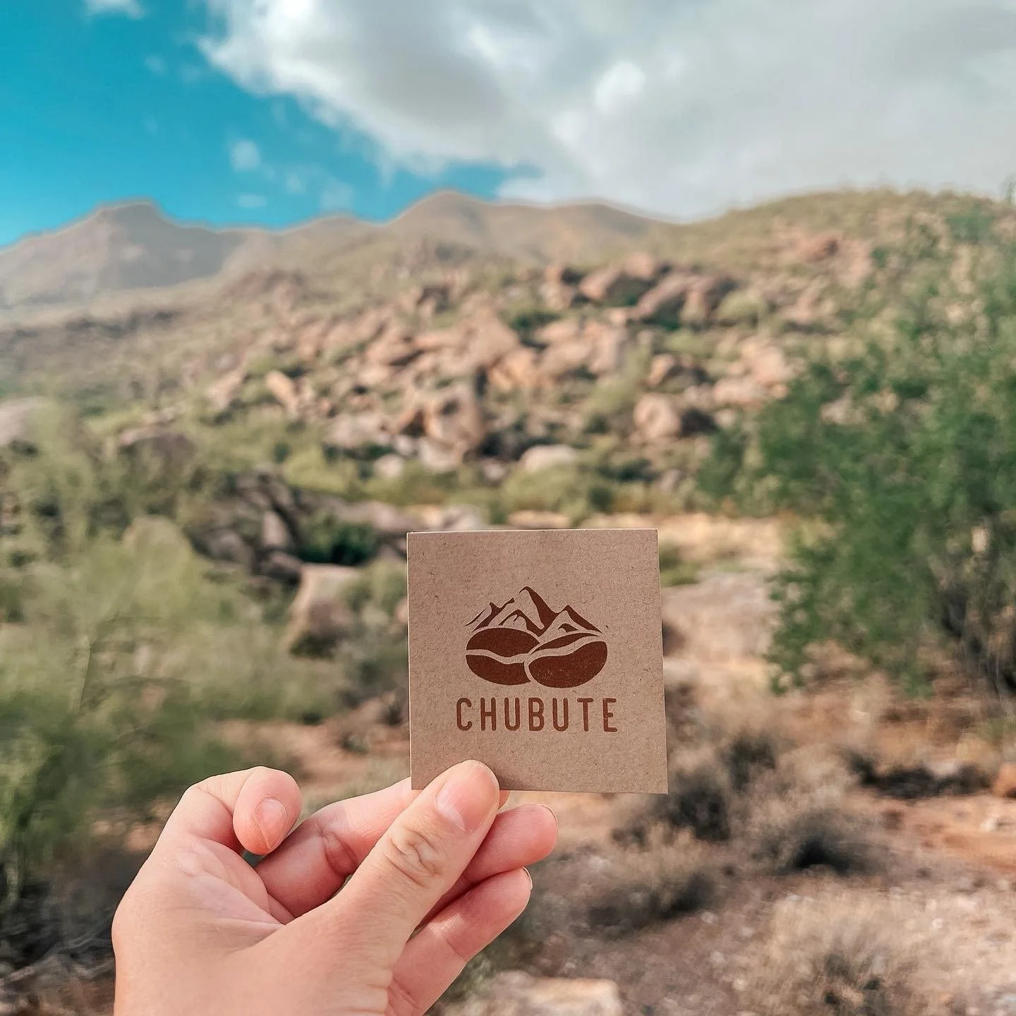 For those new to Chubute, welcome. We are a small, family-owned business run by a mom, dad, and daughter team. Tiny but mighty, we focus on what matters most: freshly roasted, organically grown specialty coffee made with love.

In a crowded industry,