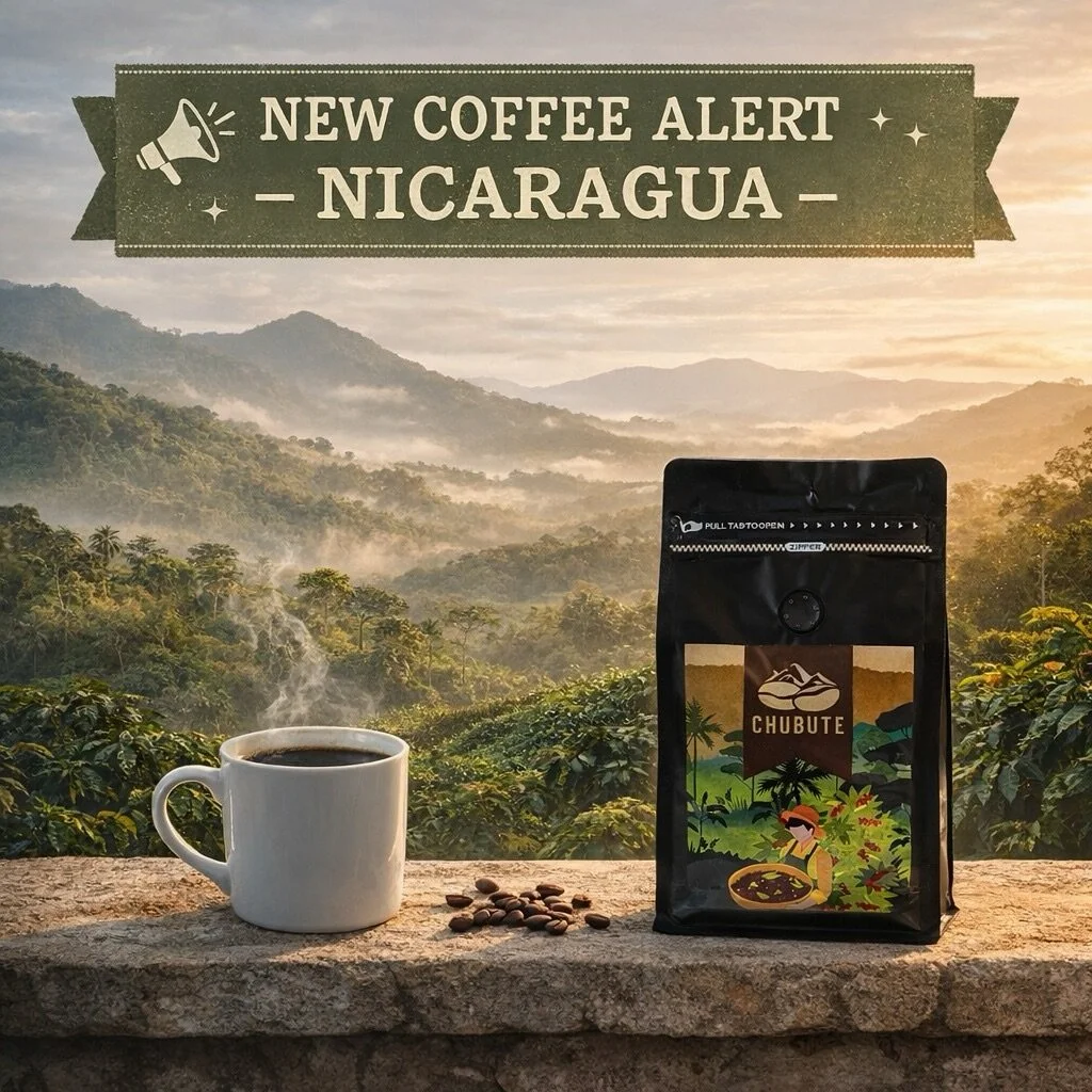 Our long-awaited Nicaragua Single Origin is finally live. This medium roast opens with bright acidity and a clean, vibrant cup that unfolds into notes of black tea, citrus, almond, and cane sugar. It&rsquo;s the kind of coffee that feels both refresh