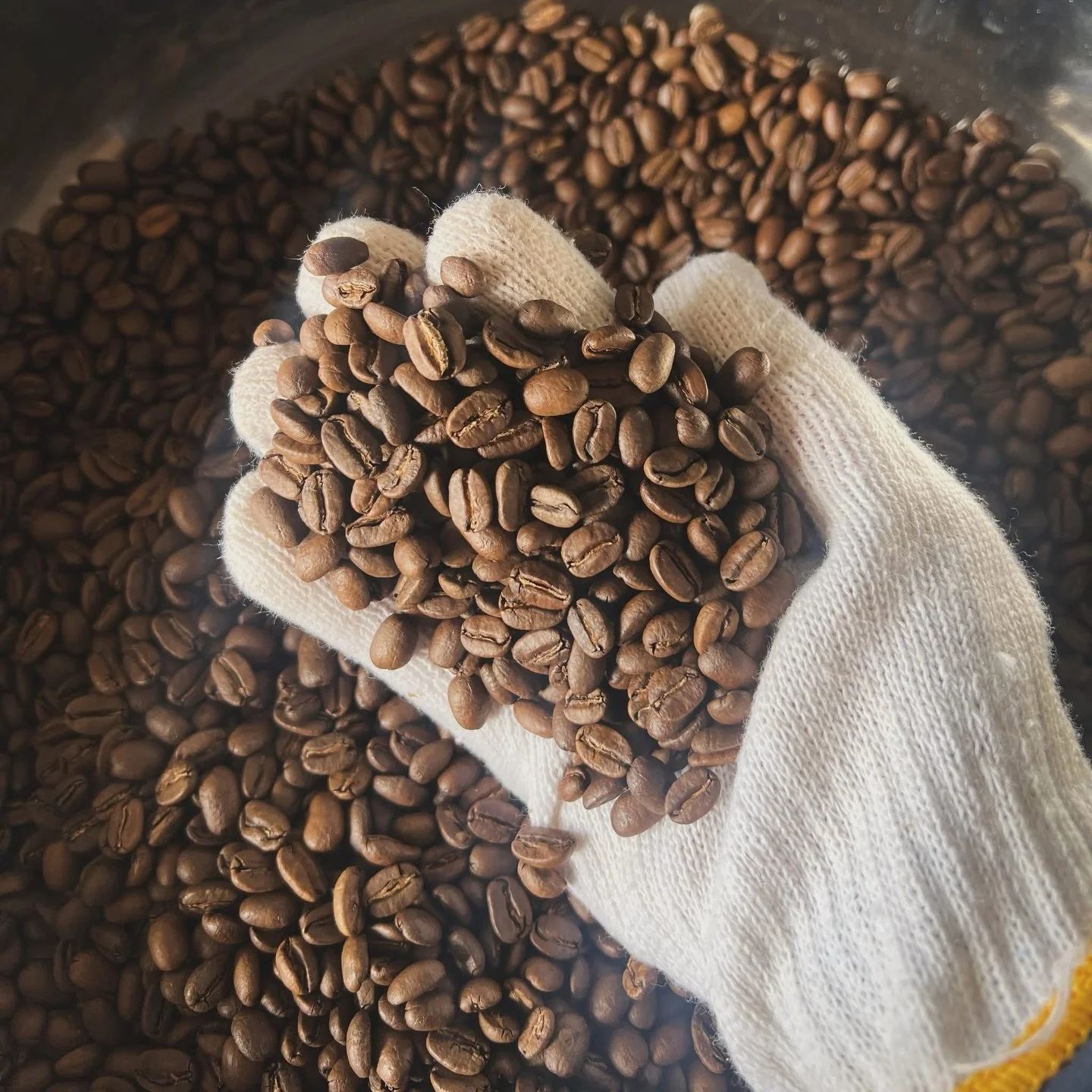 Freshly roasted upon order - carefully packed and delivered to your doorstep. Cavecreek - free local delivery, no minimum needed!

www.chubute.com

#smallbusiness&nbsp;#shoplocal&nbsp;#supportsmallbusiness&nbsp;#smallbiz&nbsp;#shoplocally&nbsp;shopsm