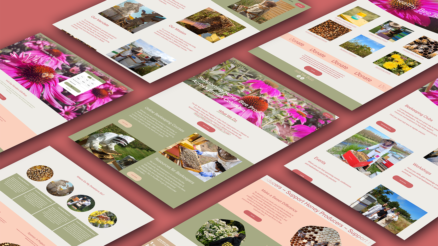 TTP+Webpages+Mockup.png