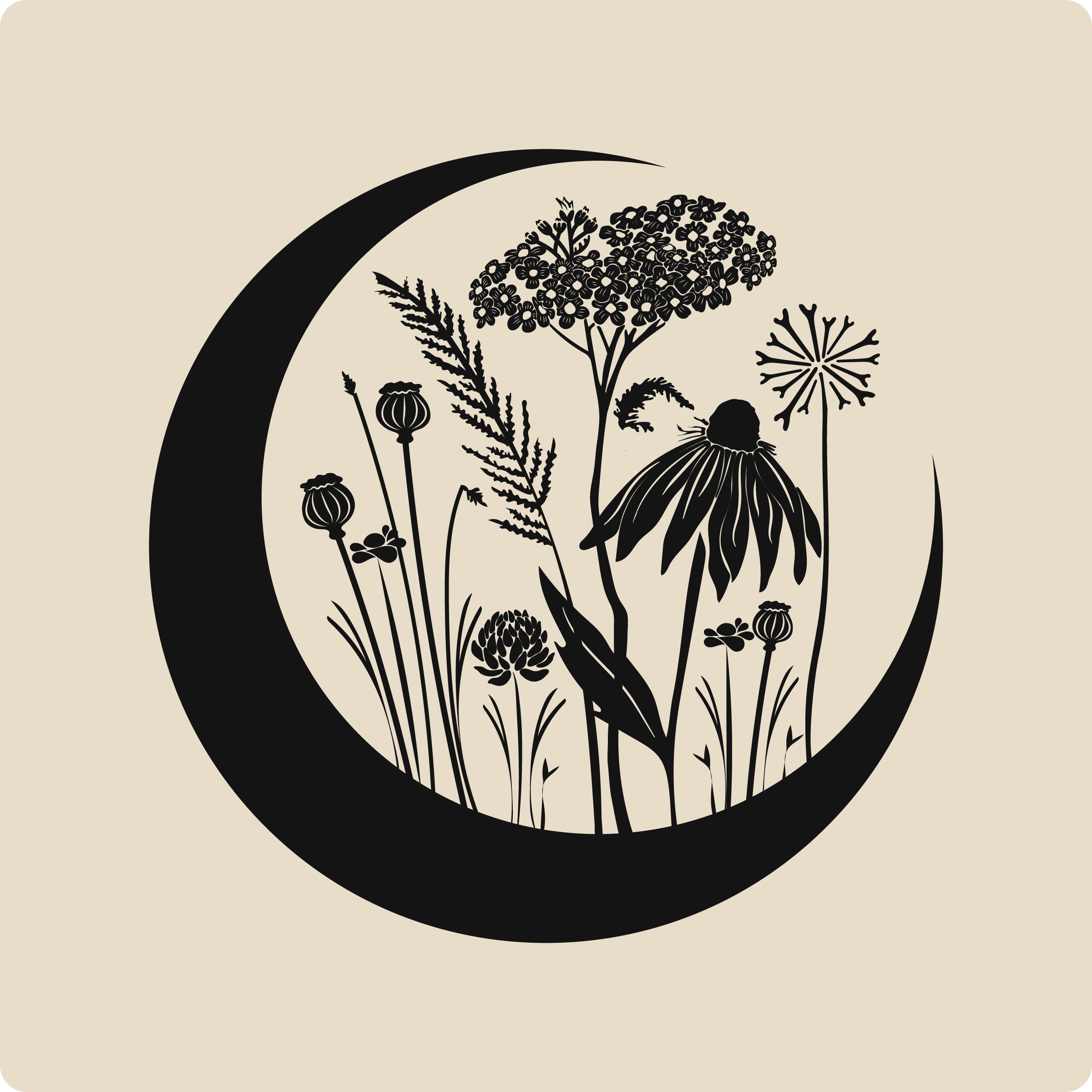 Moonbloom Intimates Logo