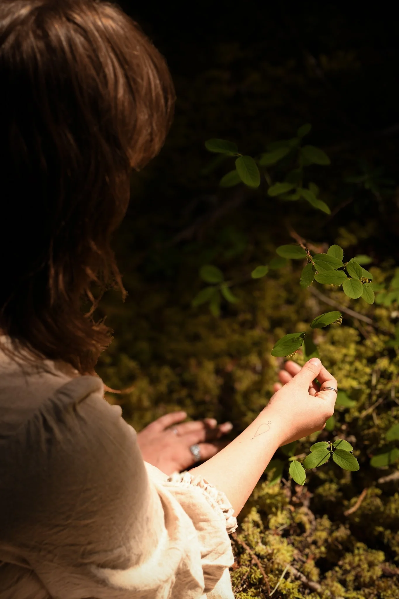 Wild Maiden Small-12.jpg