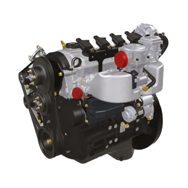 SERVICES — DL Forklift Services Houston Forklifts Houston Forklift Rentals