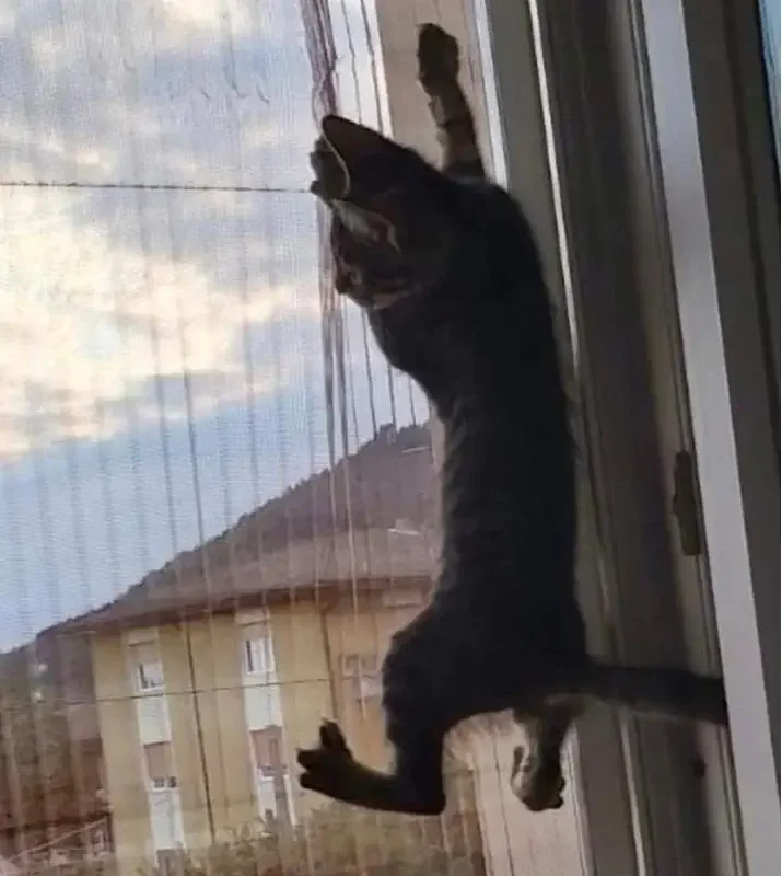 Zanzariere+di+qualità+EMI+Brescia.