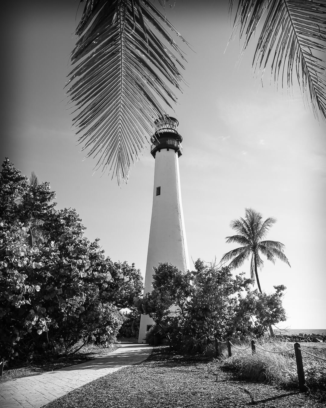 BW Lighthouse SQSP2018.jpg
